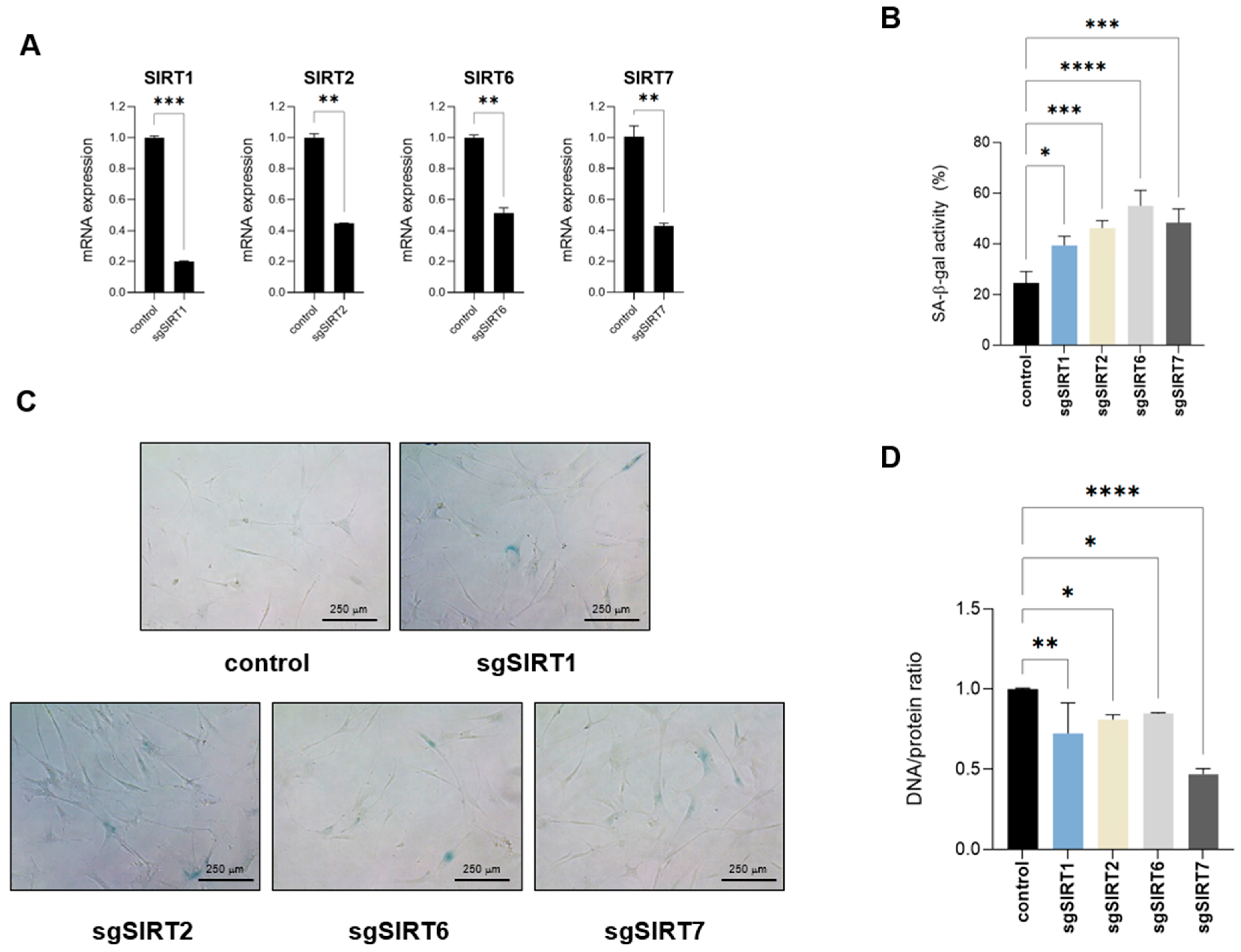 Ijms 26 10495 g006 Ijms 26 10495 g006