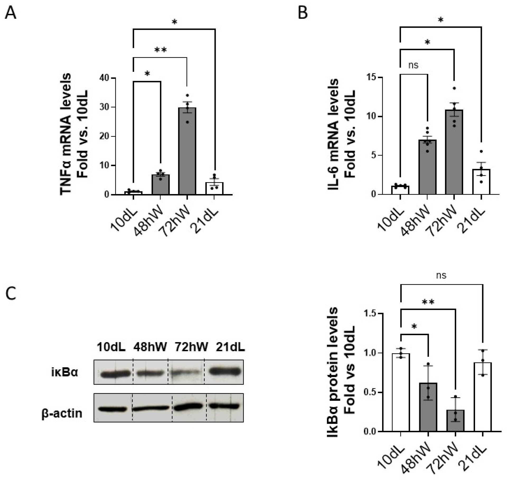 Ijms 26 10501 g003 Ijms 26 10501 g003
