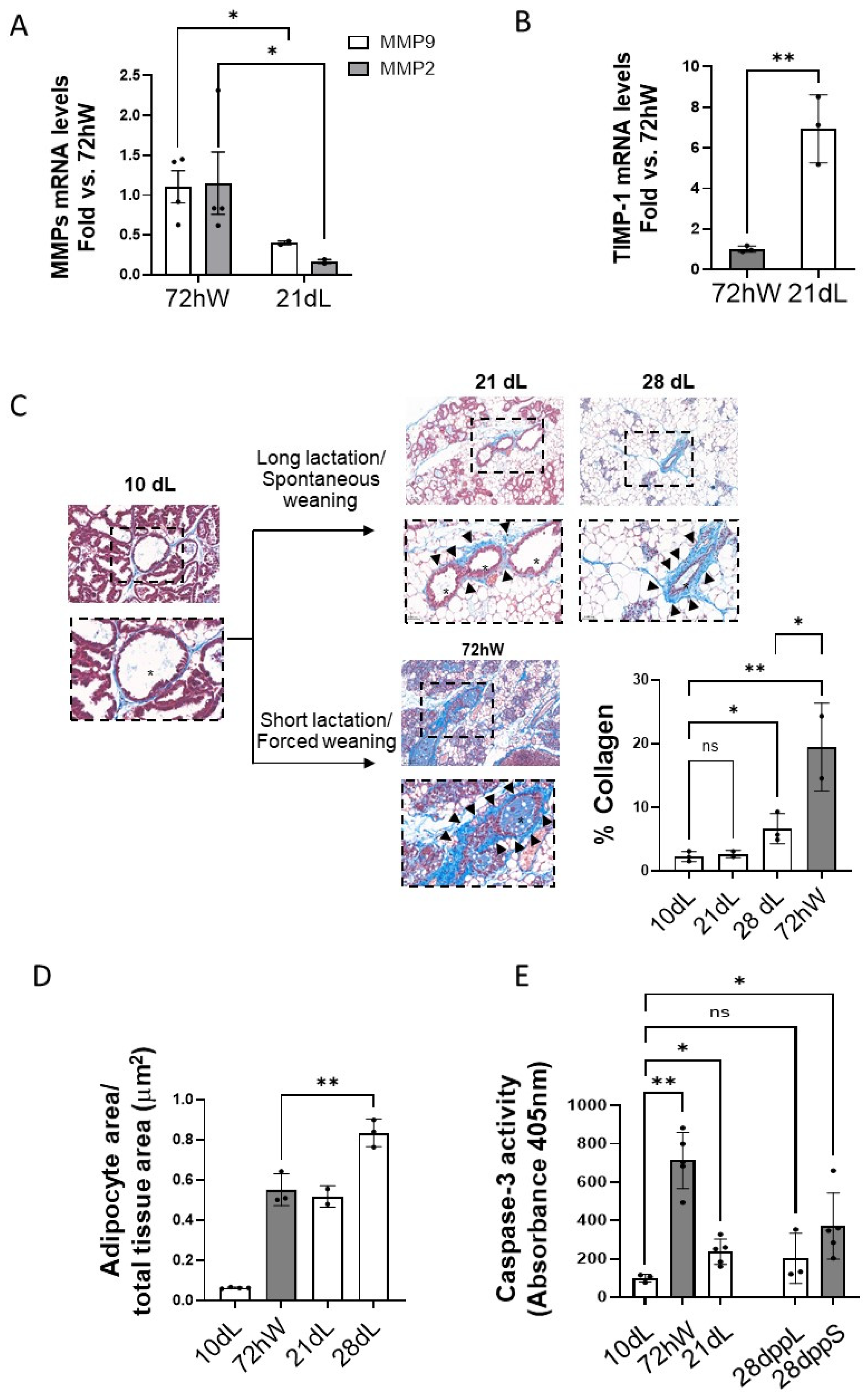 Ijms 26 10501 g005 Ijms 26 10501 g005