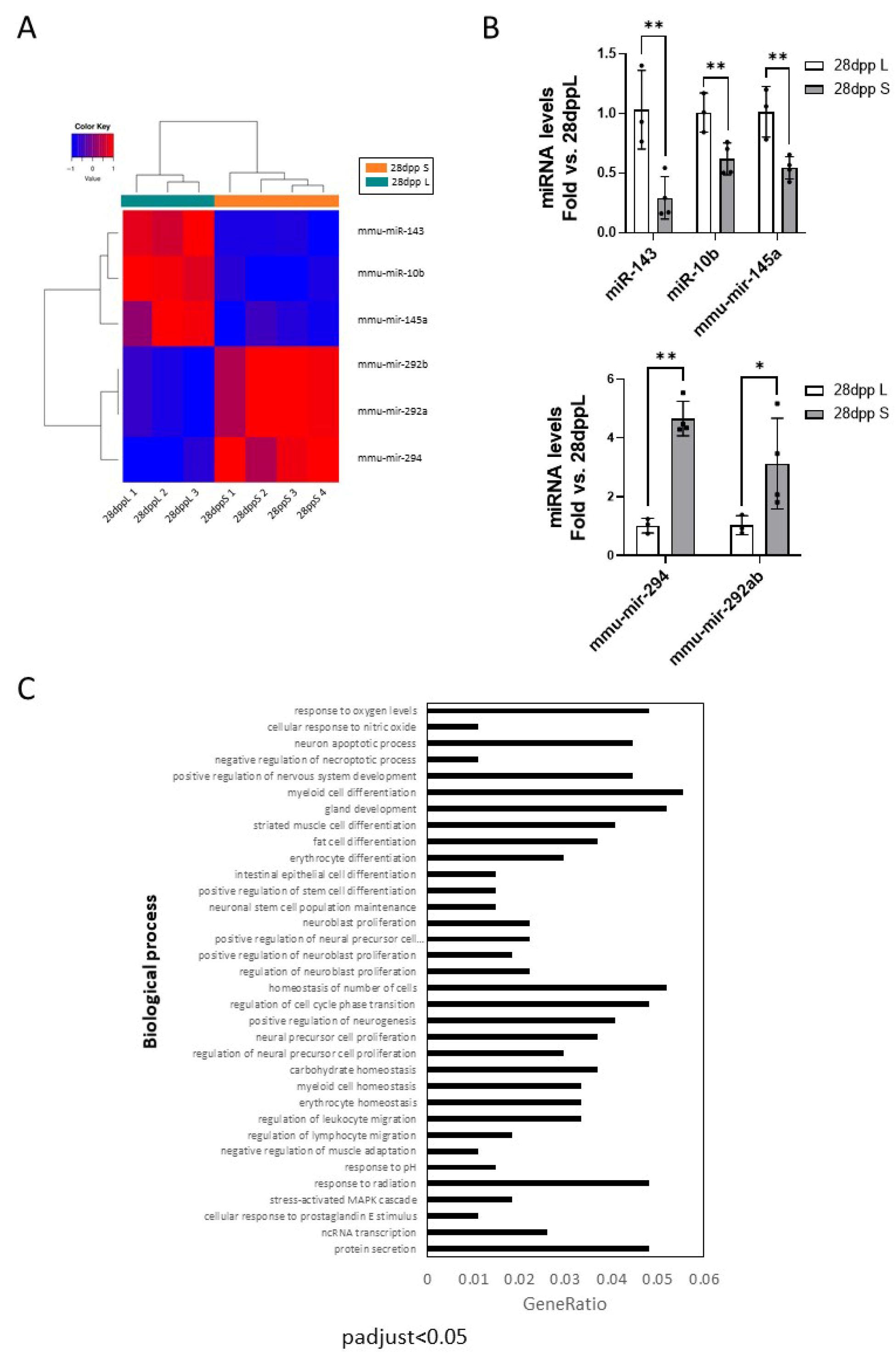 Ijms 26 10501 g007 Ijms 26 10501 g007