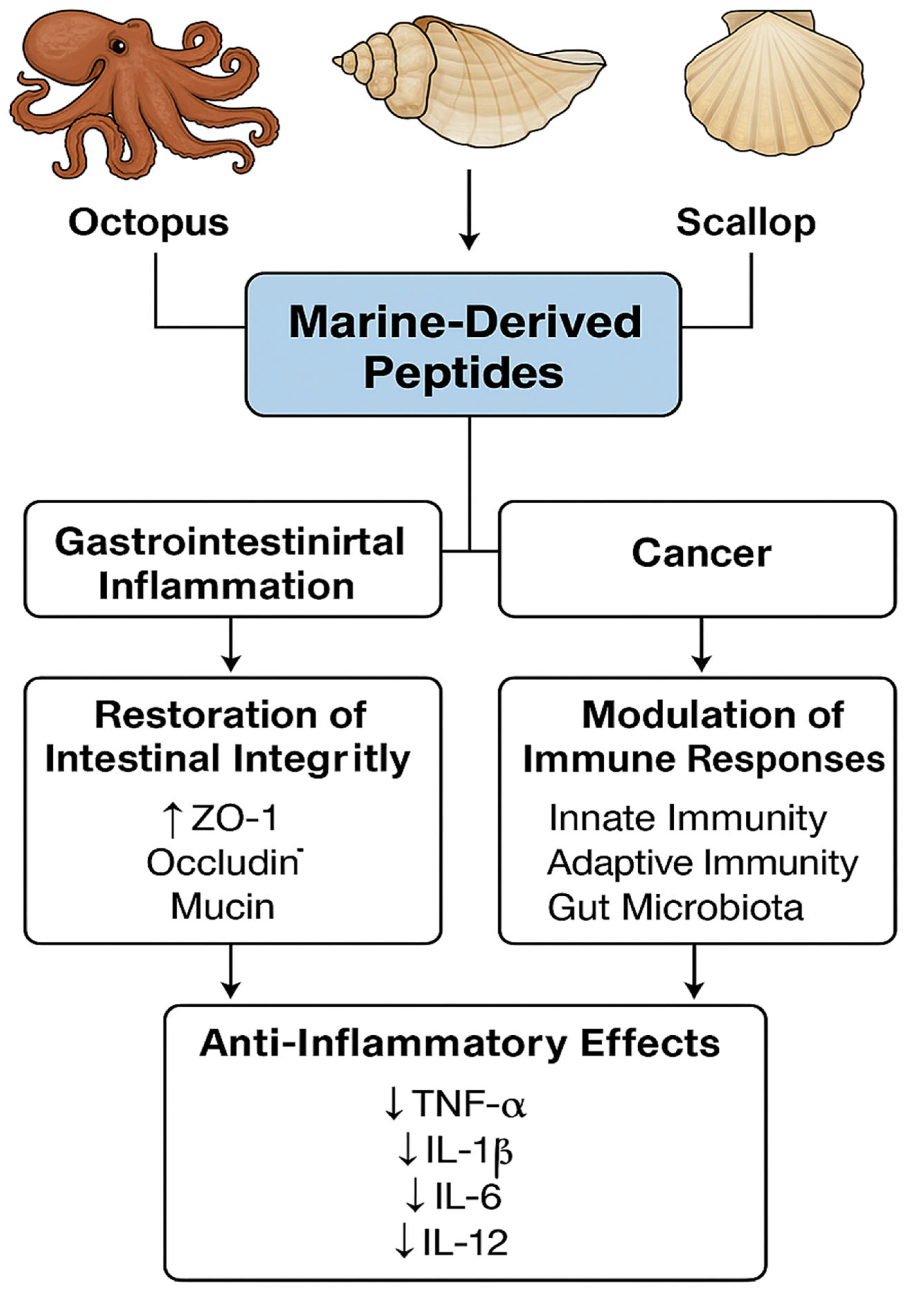 Ijms 26 10508 g005 Ijms 26 10508 g005