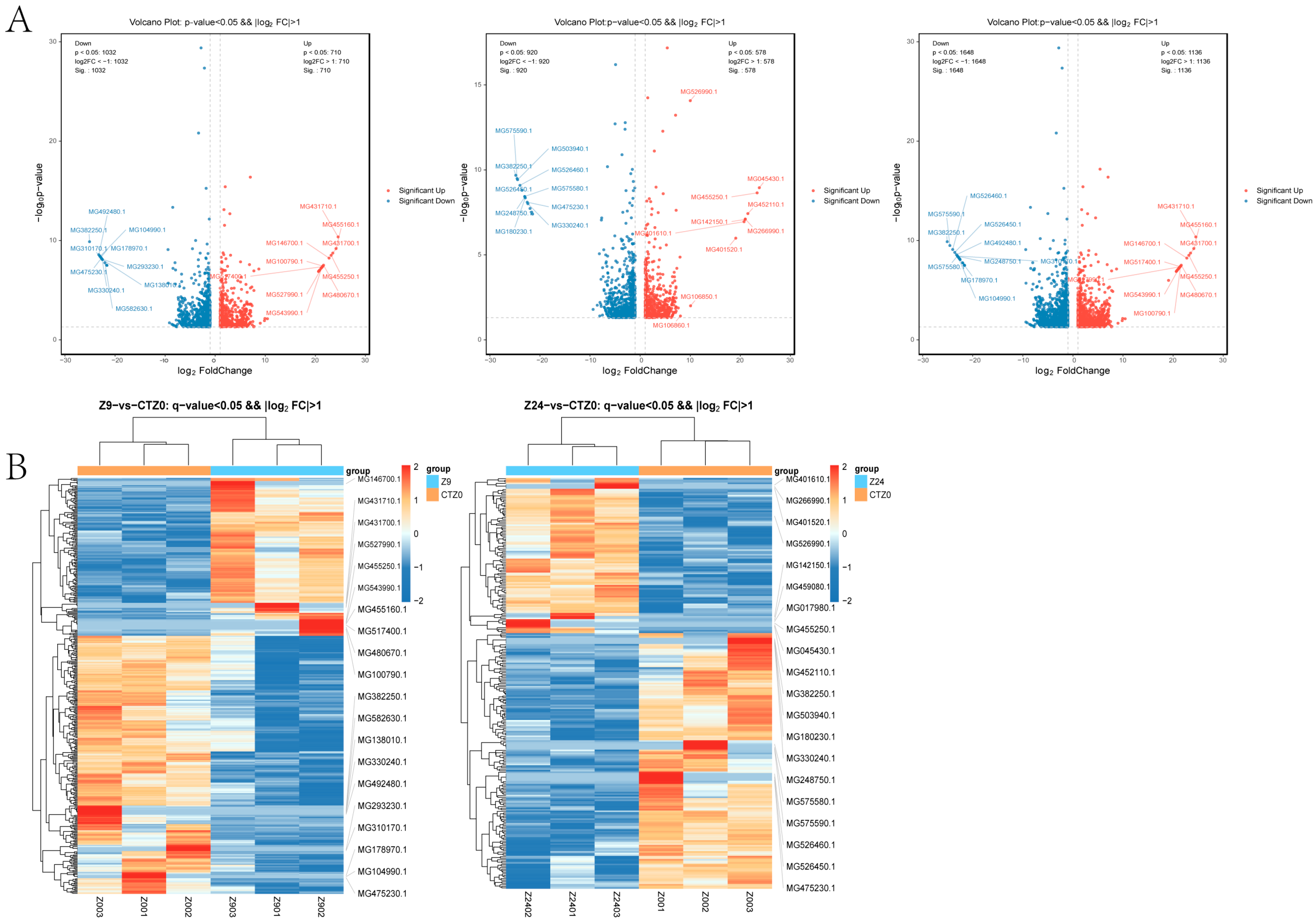 Comparative Transcriptomic and Proteomic Analyses Identify