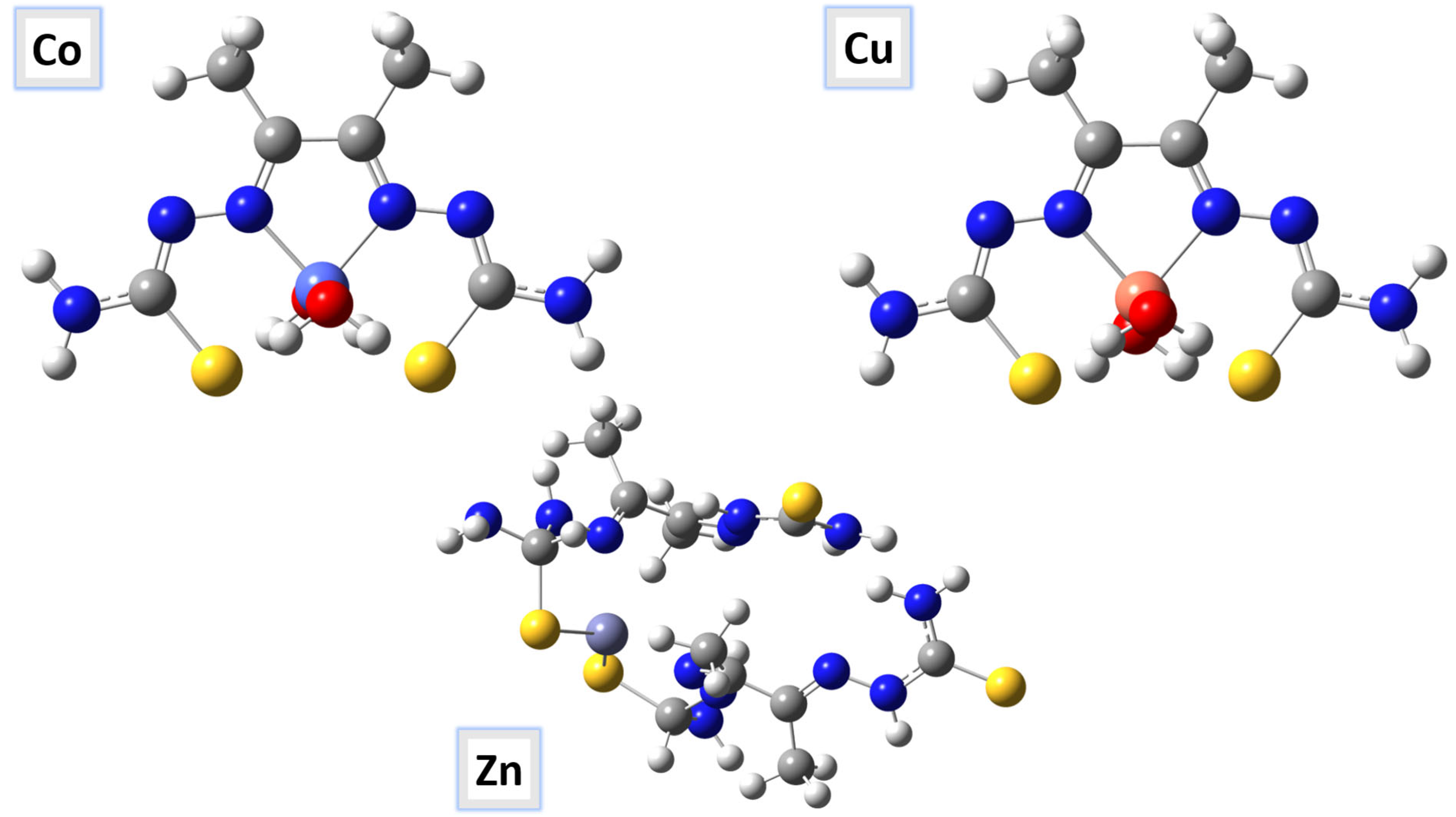 Ijms 26 10516 g022 Ijms 26 10516 g022