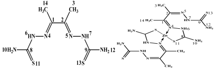 Ijms 26 10516 i001 Ijms 26 10516 i001