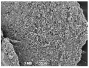 Ijms 26 10516 i002 Ijms 26 10516 i002