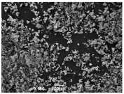 Ijms 26 10516 i003 Ijms 26 10516 i003