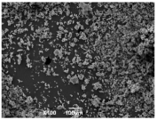 Ijms 26 10516 i004 Ijms 26 10516 i004