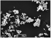 Ijms 26 10516 i006 Ijms 26 10516 i006