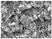 Ijms 26 10516 i008 Ijms 26 10516 i008