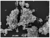 Ijms 26 10516 i010 Ijms 26 10516 i010