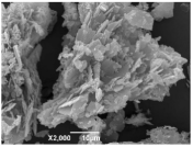 Ijms 26 10516 i013 Ijms 26 10516 i013