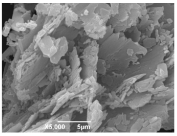 Ijms 26 10516 i016 Ijms 26 10516 i016