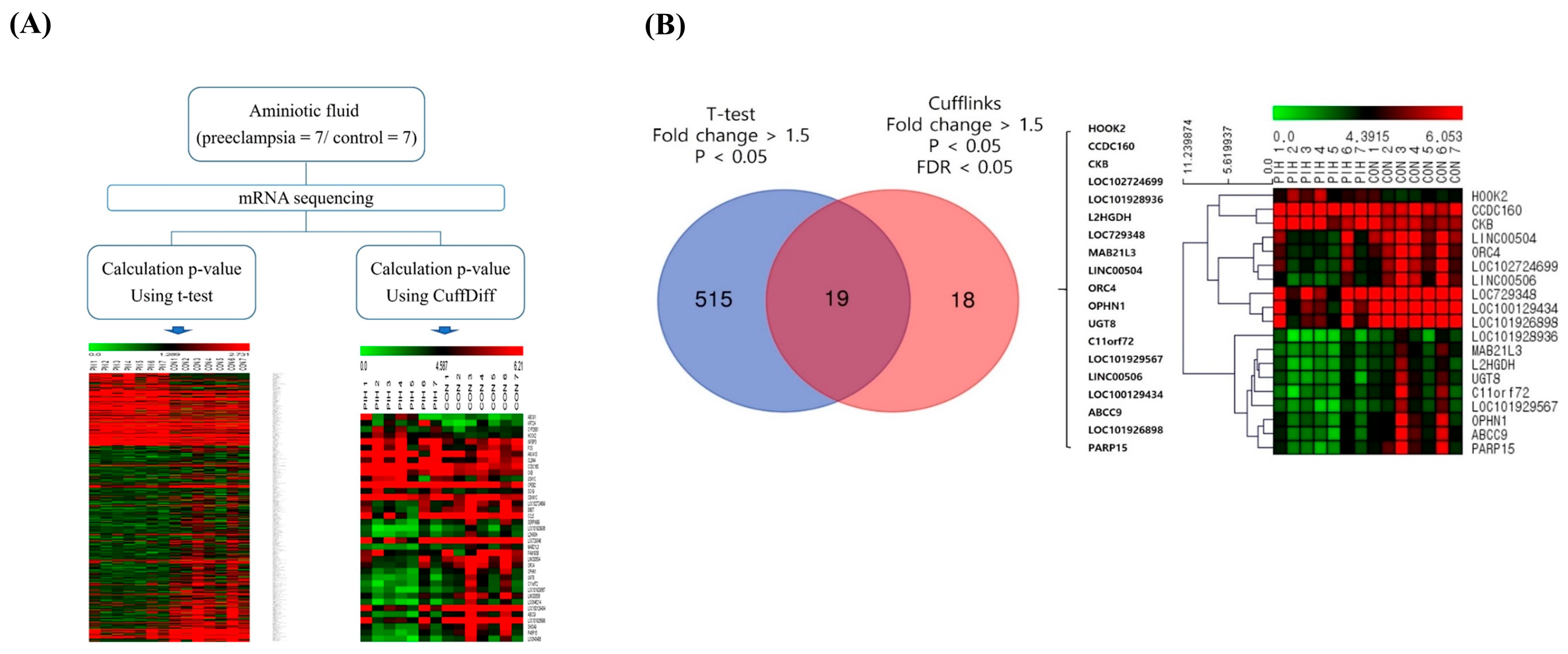 Ijms 26 10530 g001 Ijms 26 10530 g001