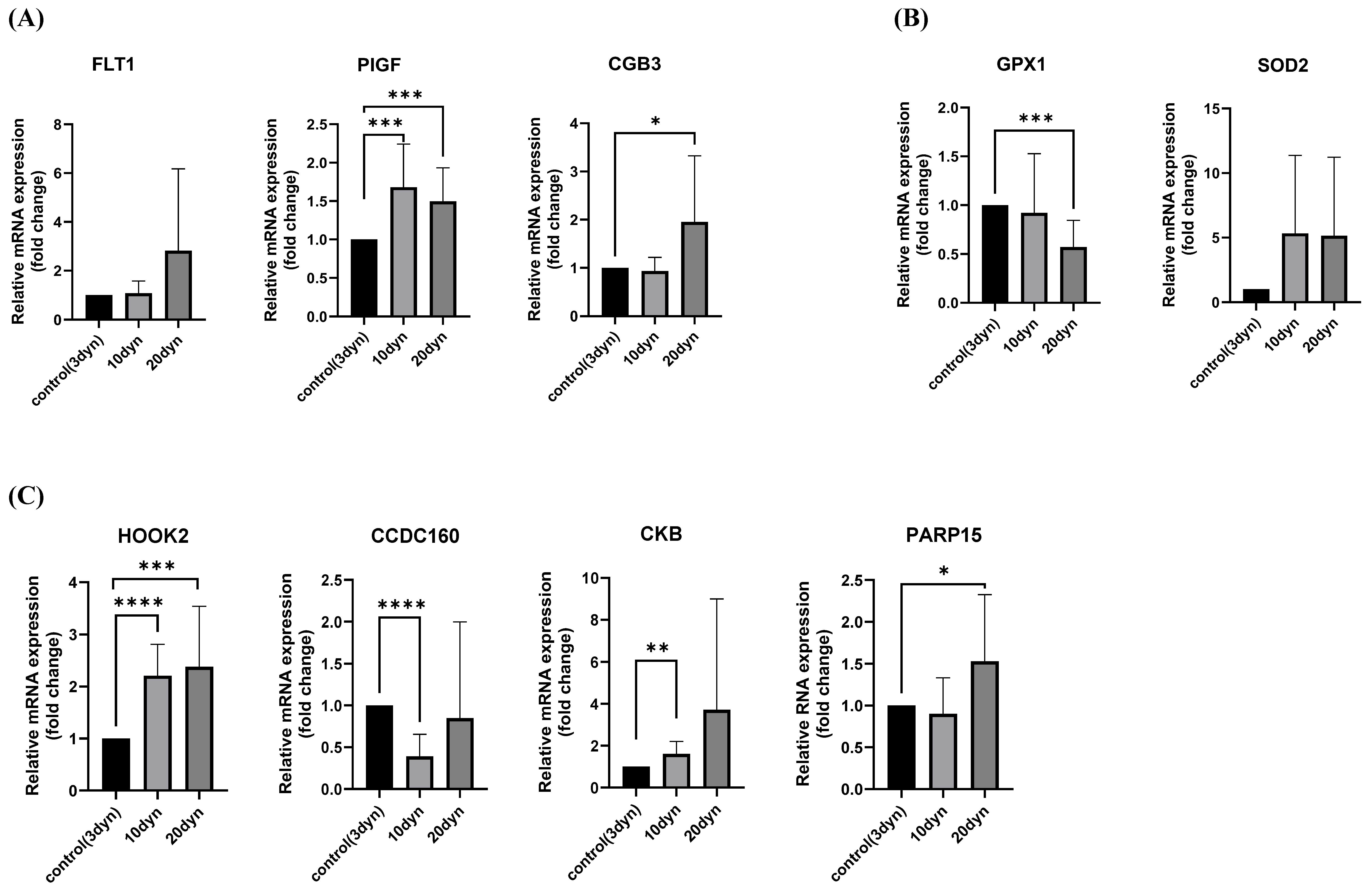 Ijms 26 10530 g002 Ijms 26 10530 g002