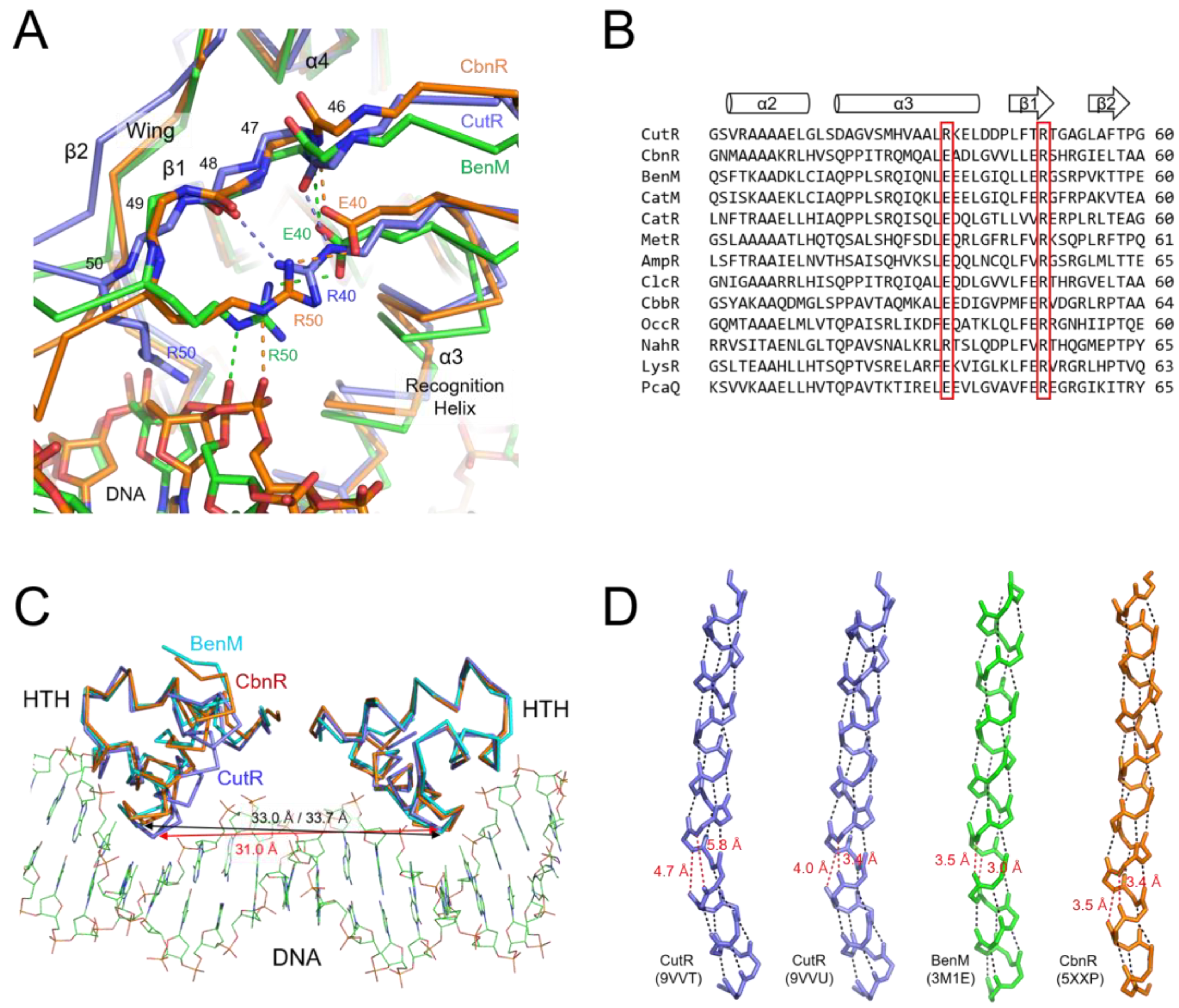 Ijms 26 10533 g006 Ijms 26 10533 g006
