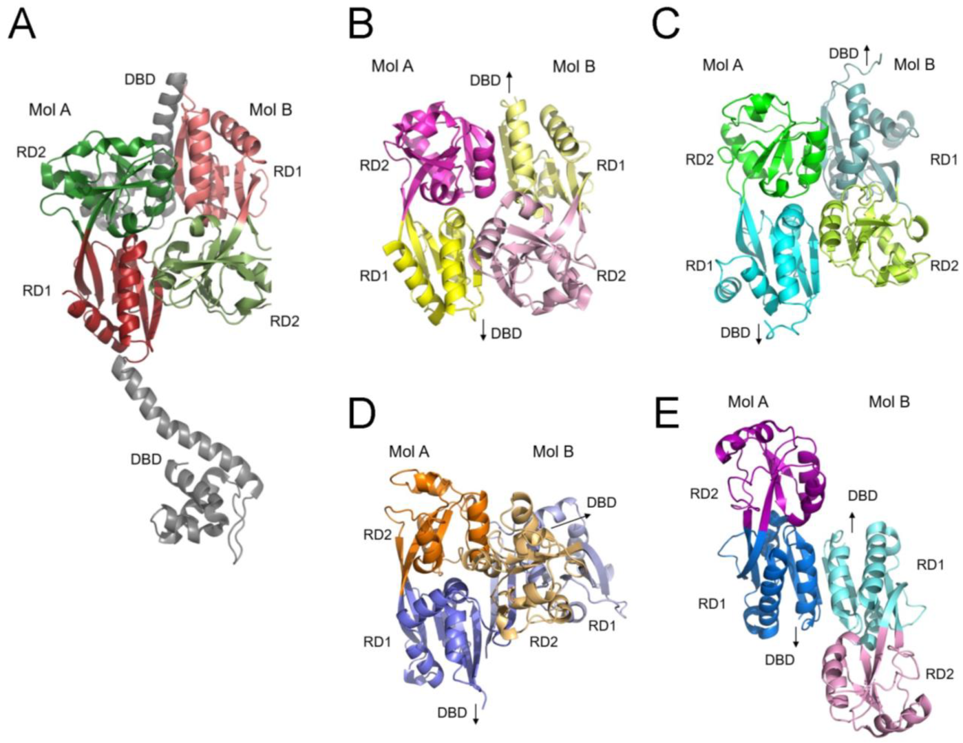 Ijms 26 10533 g007 Ijms 26 10533 g007