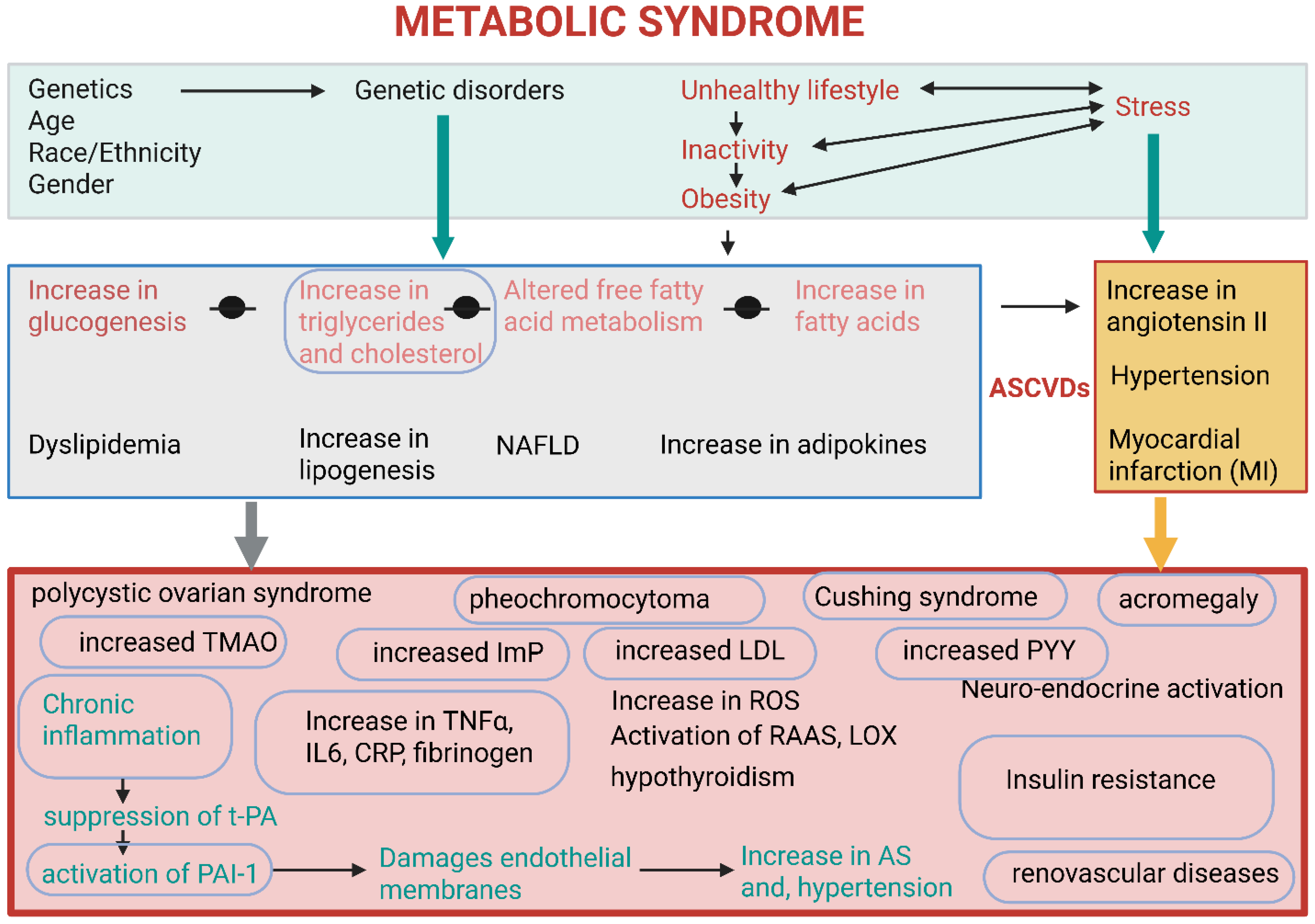 Ijms 26 10539 g002 Ijms 26 10539 g002
