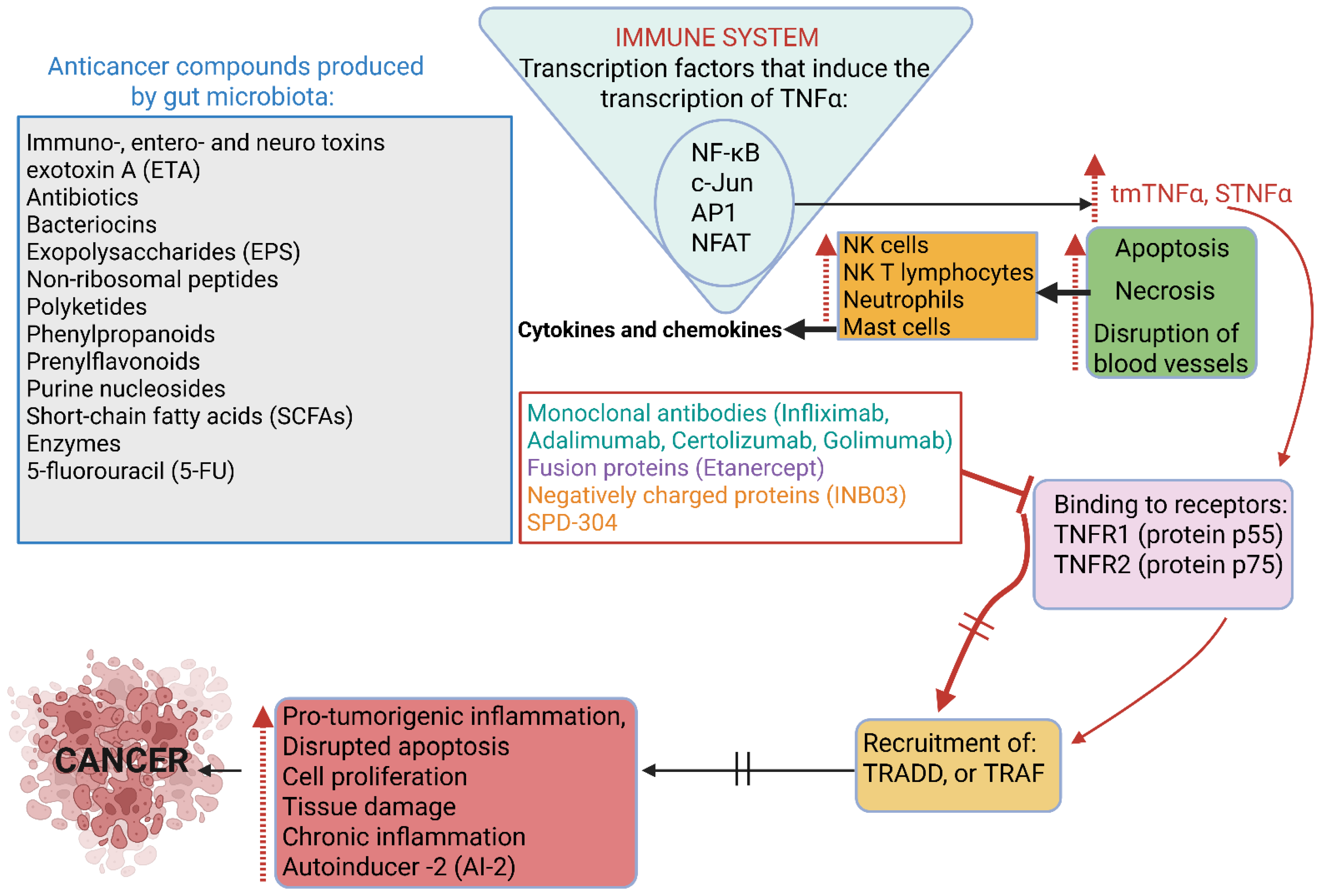Ijms 26 10539 g003 Ijms 26 10539 g003