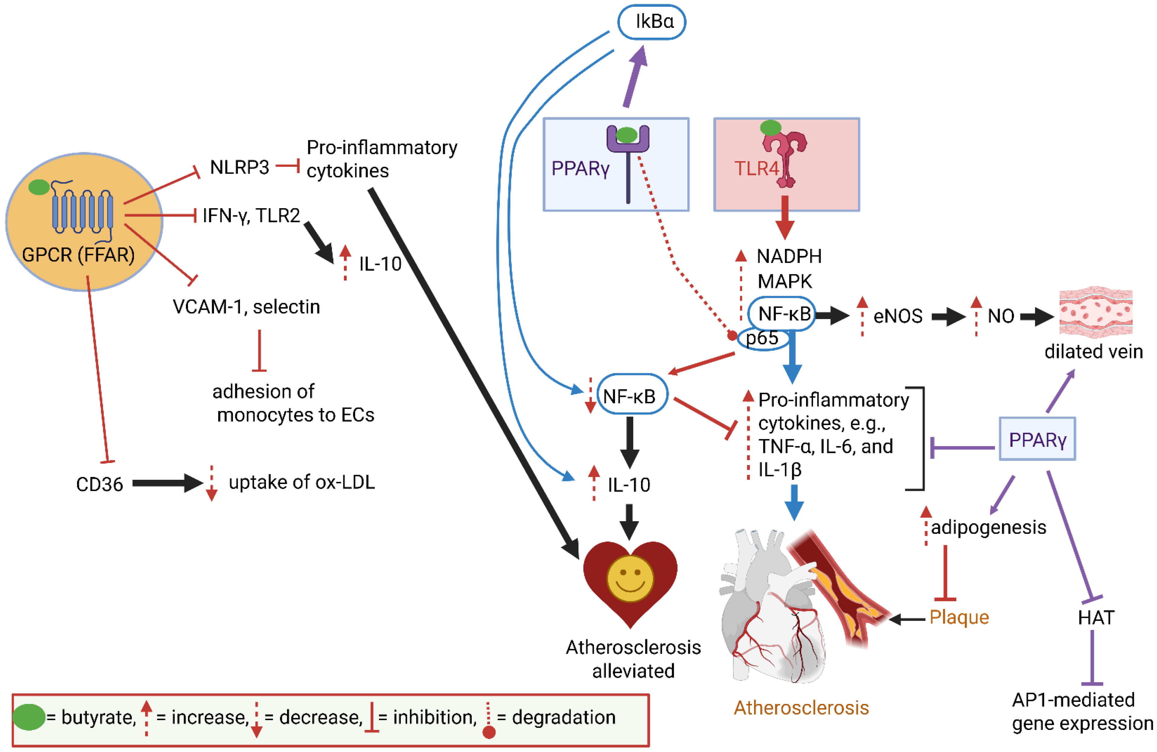 Ijms 26 10539 g004 Ijms 26 10539 g004