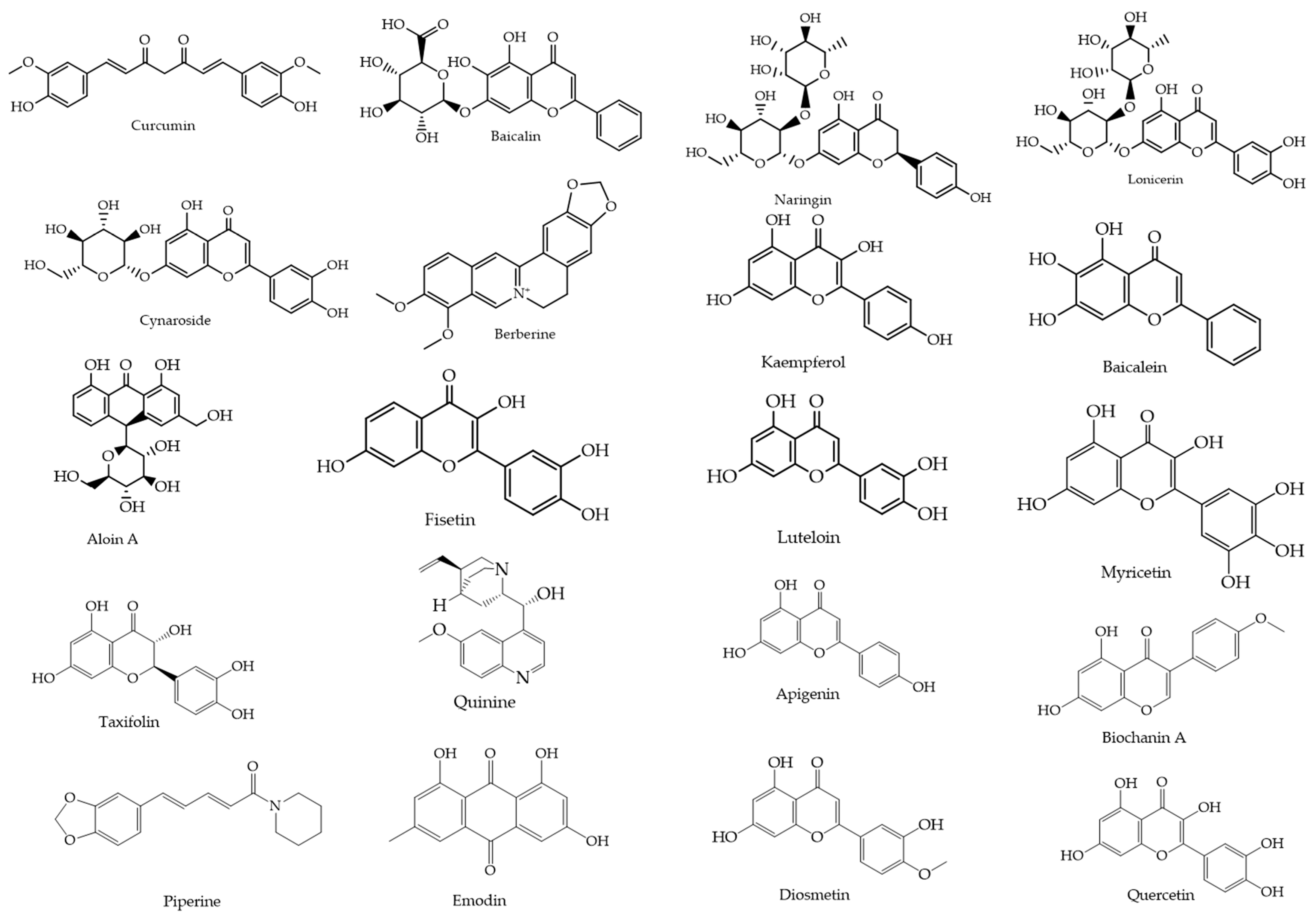 Ijms 26 10541 g002 Ijms 26 10541 g002