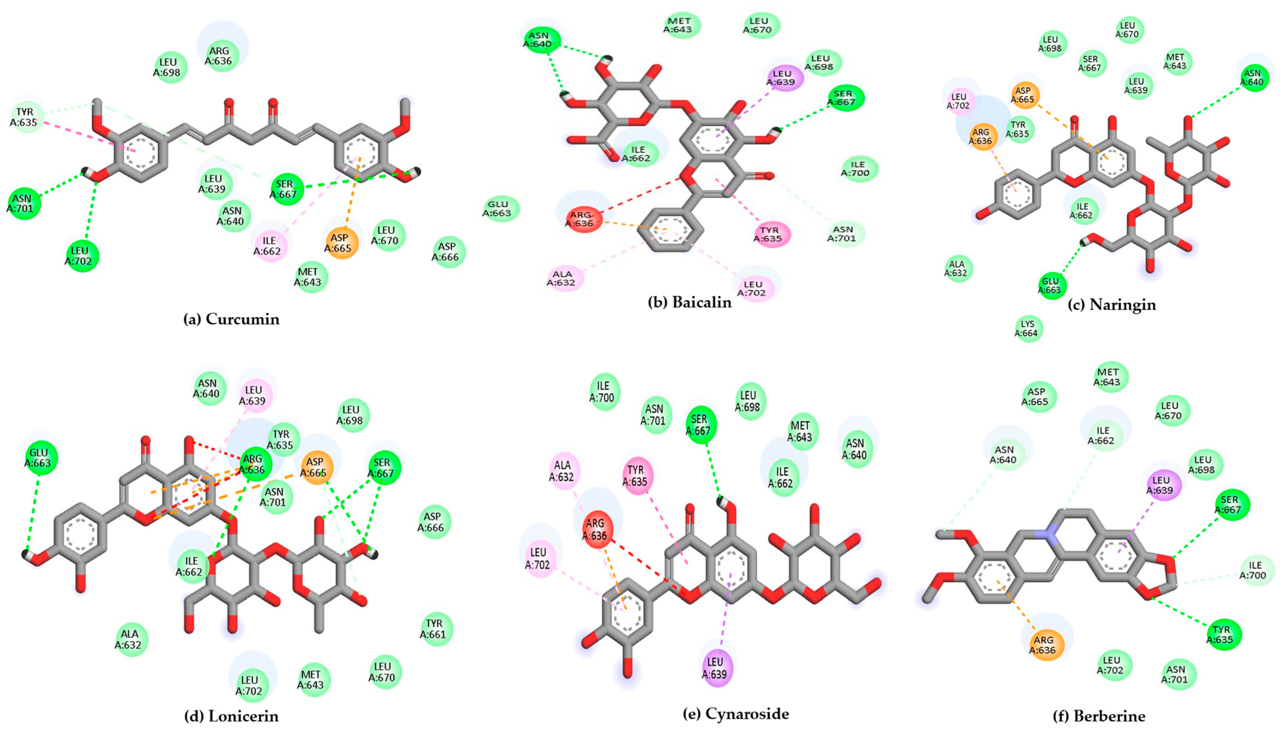 Ijms 26 10541 g004a Ijms 26 10541 g004a