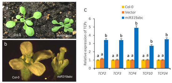 RT -143711ページ Used Motorcycles For Sale Near Ashland City, TN - Cycle Trader