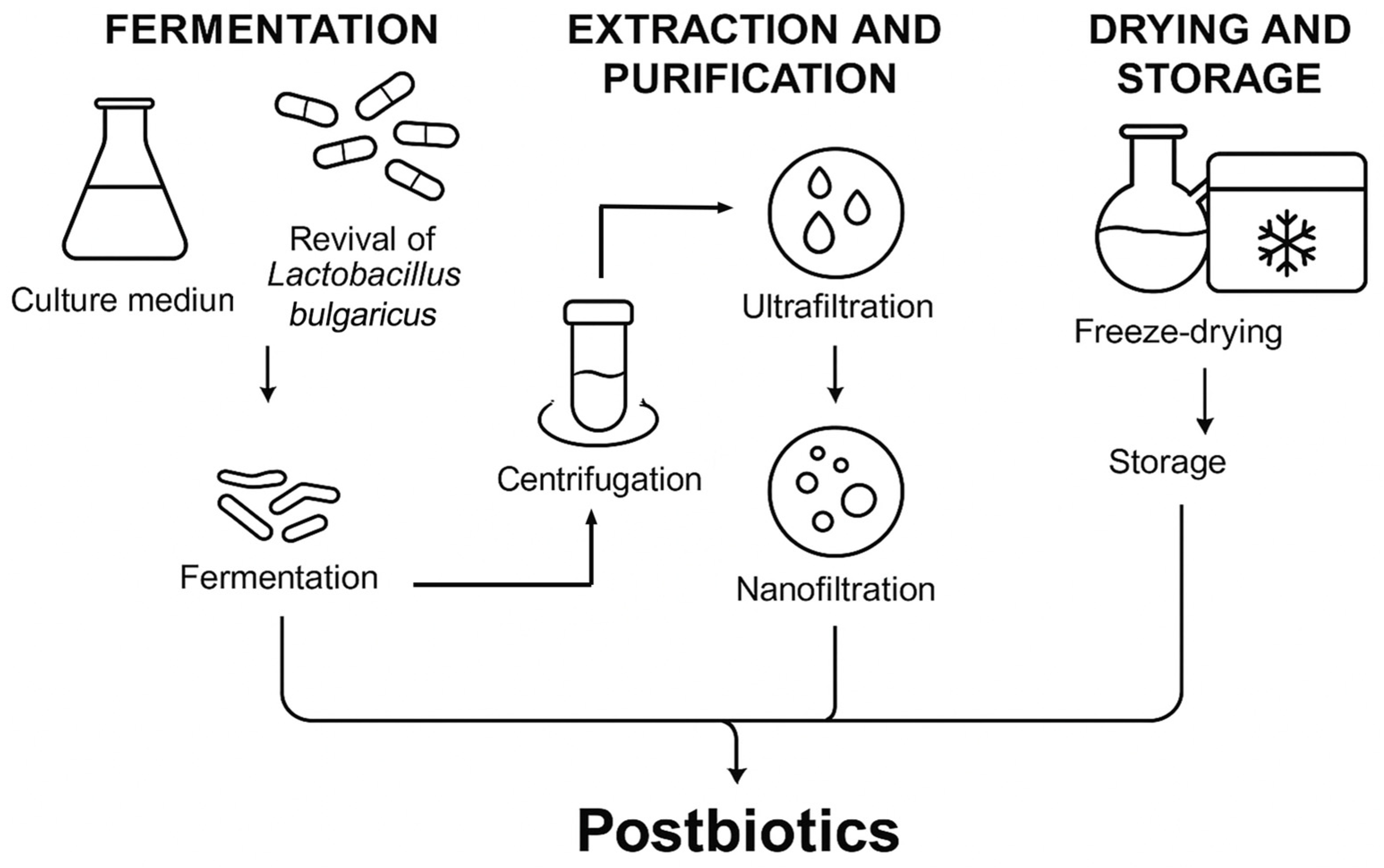 Ijms 26 10556 g001 Ijms 26 10556 g001