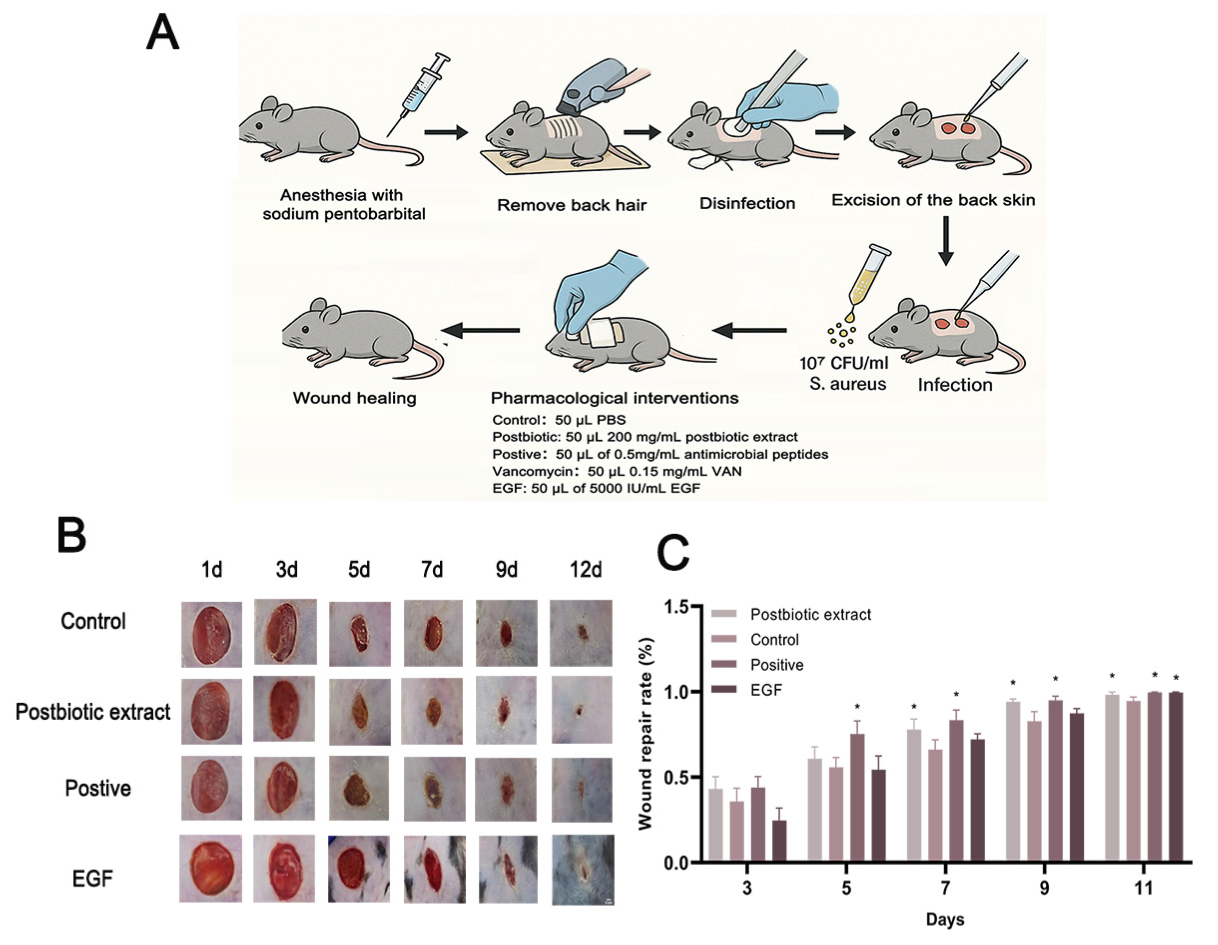 Ijms 26 10556 g005 Ijms 26 10556 g005