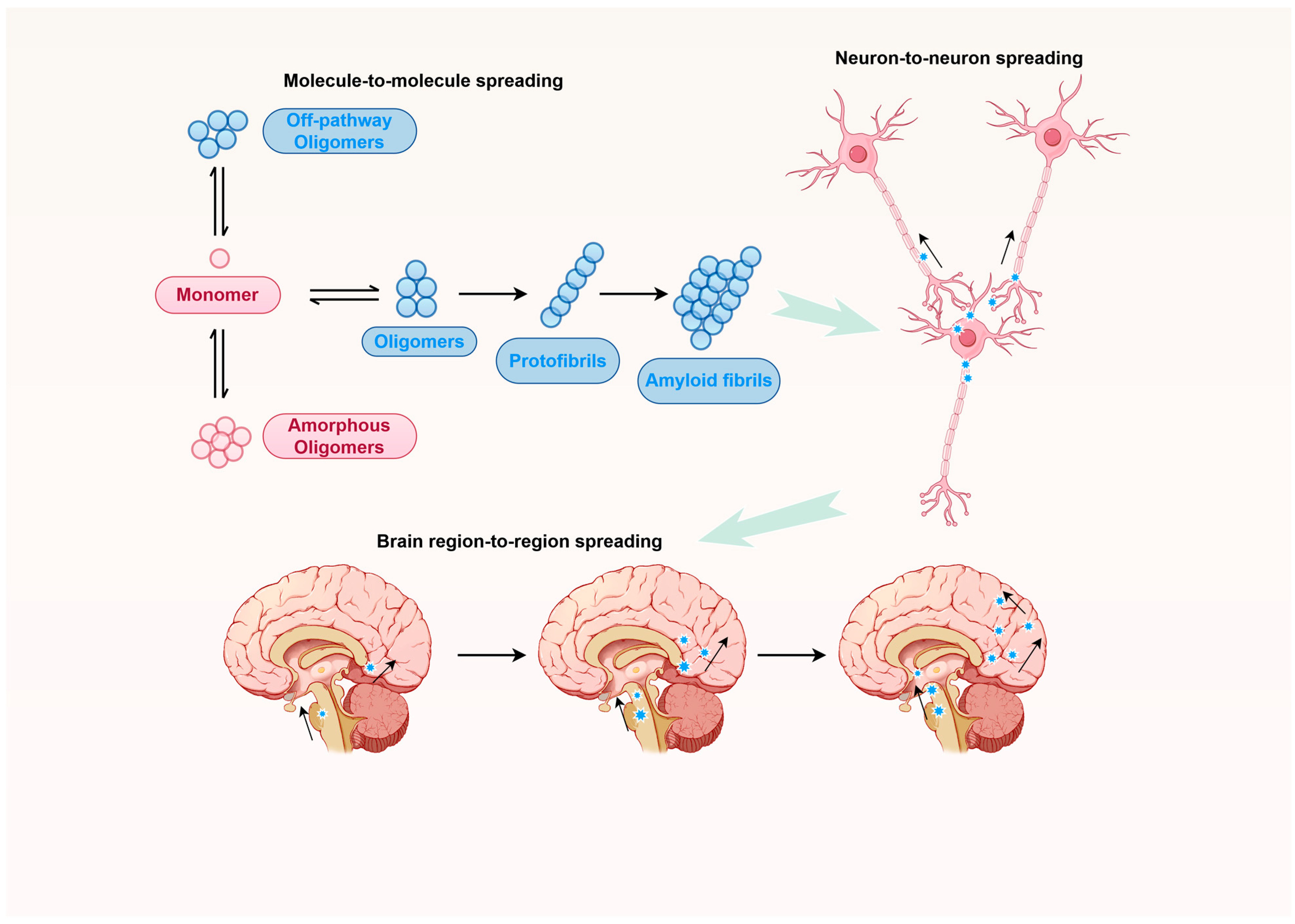 Ijms 26 10568 g001 Ijms 26 10568 g001