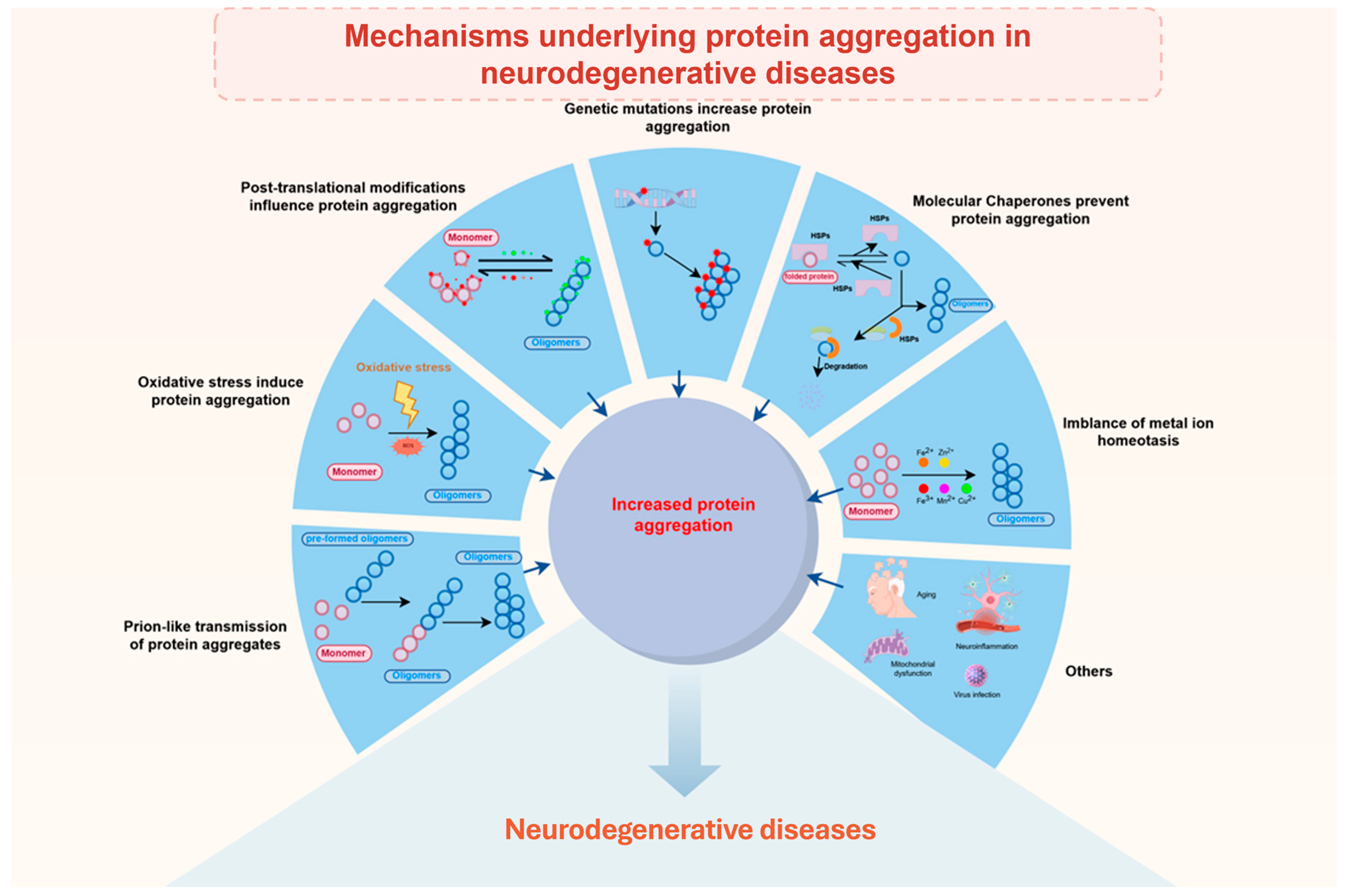 Ijms 26 10568 g002 Ijms 26 10568 g002