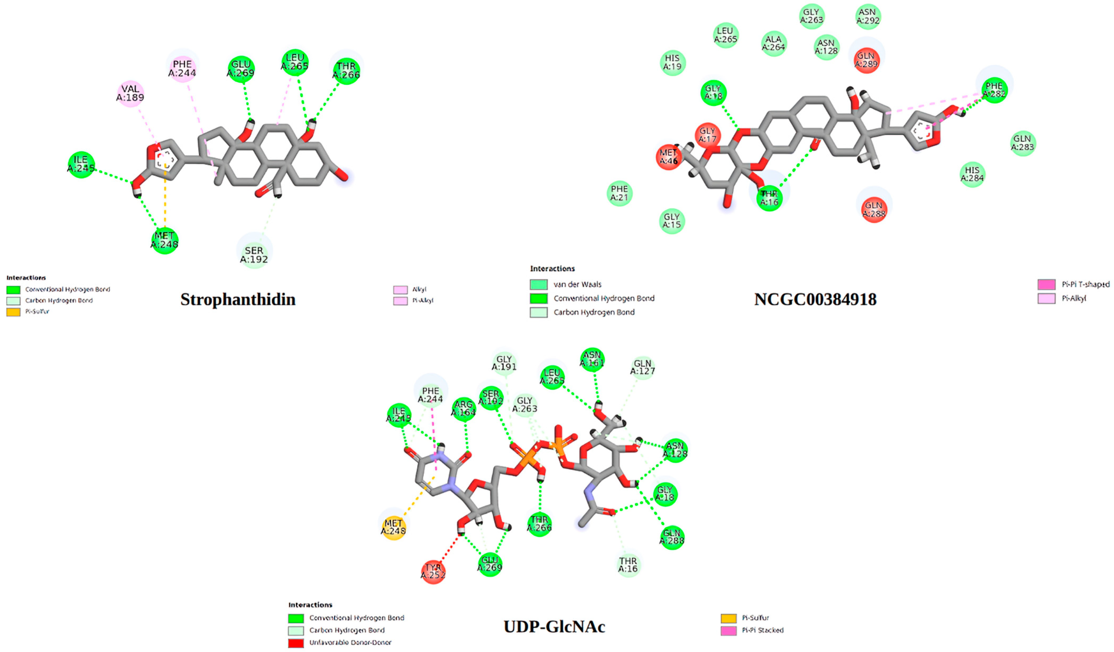 Ijms 26 10574 g009 Ijms 26 10574 g009