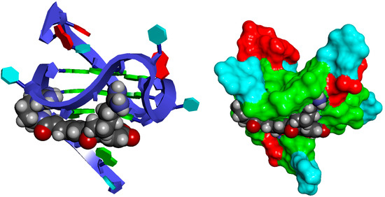 Exploring Guanidinium Group Involvement in Hordatine Interactions