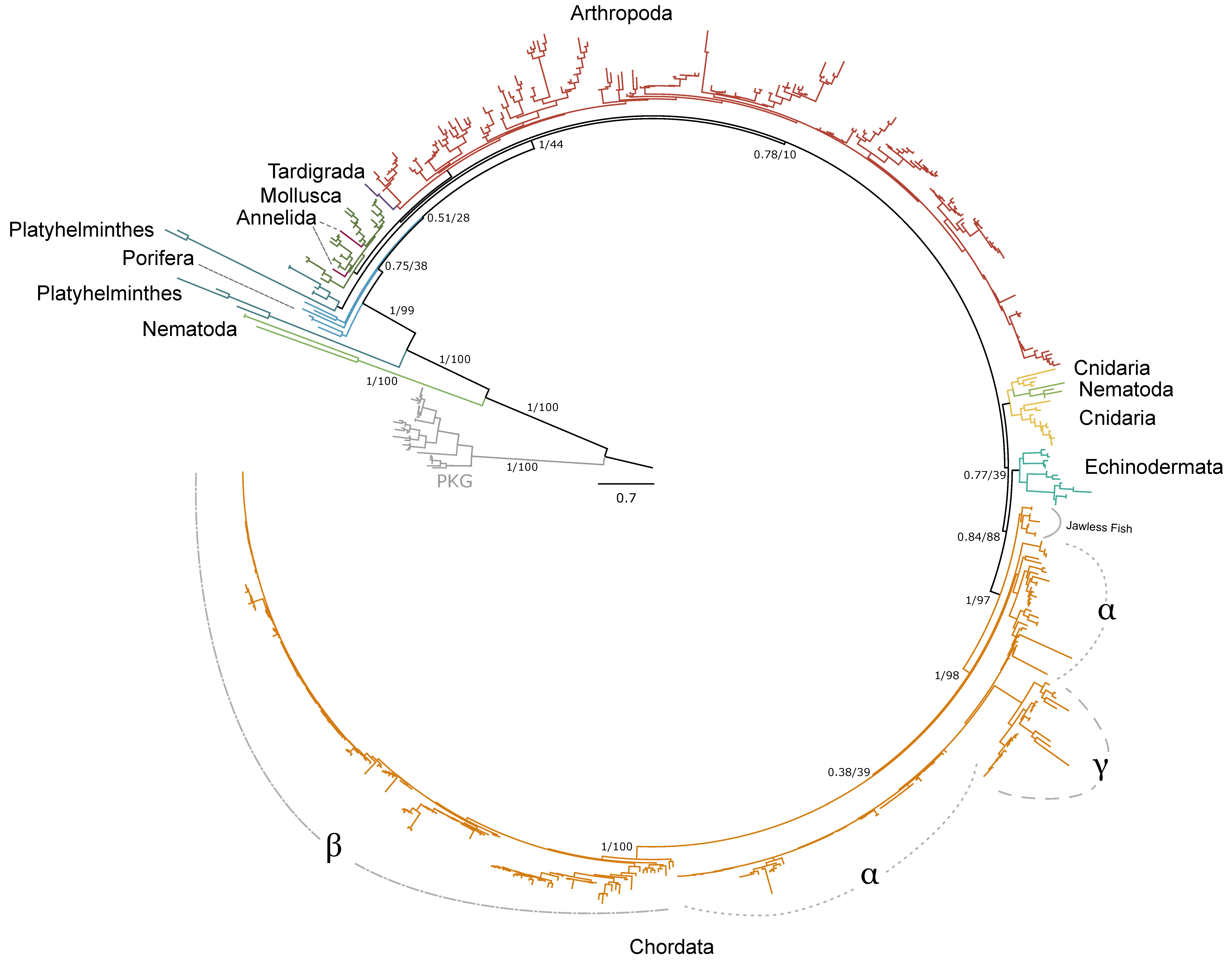 Ijms 26 10585 g001 Ijms 26 10585 g001