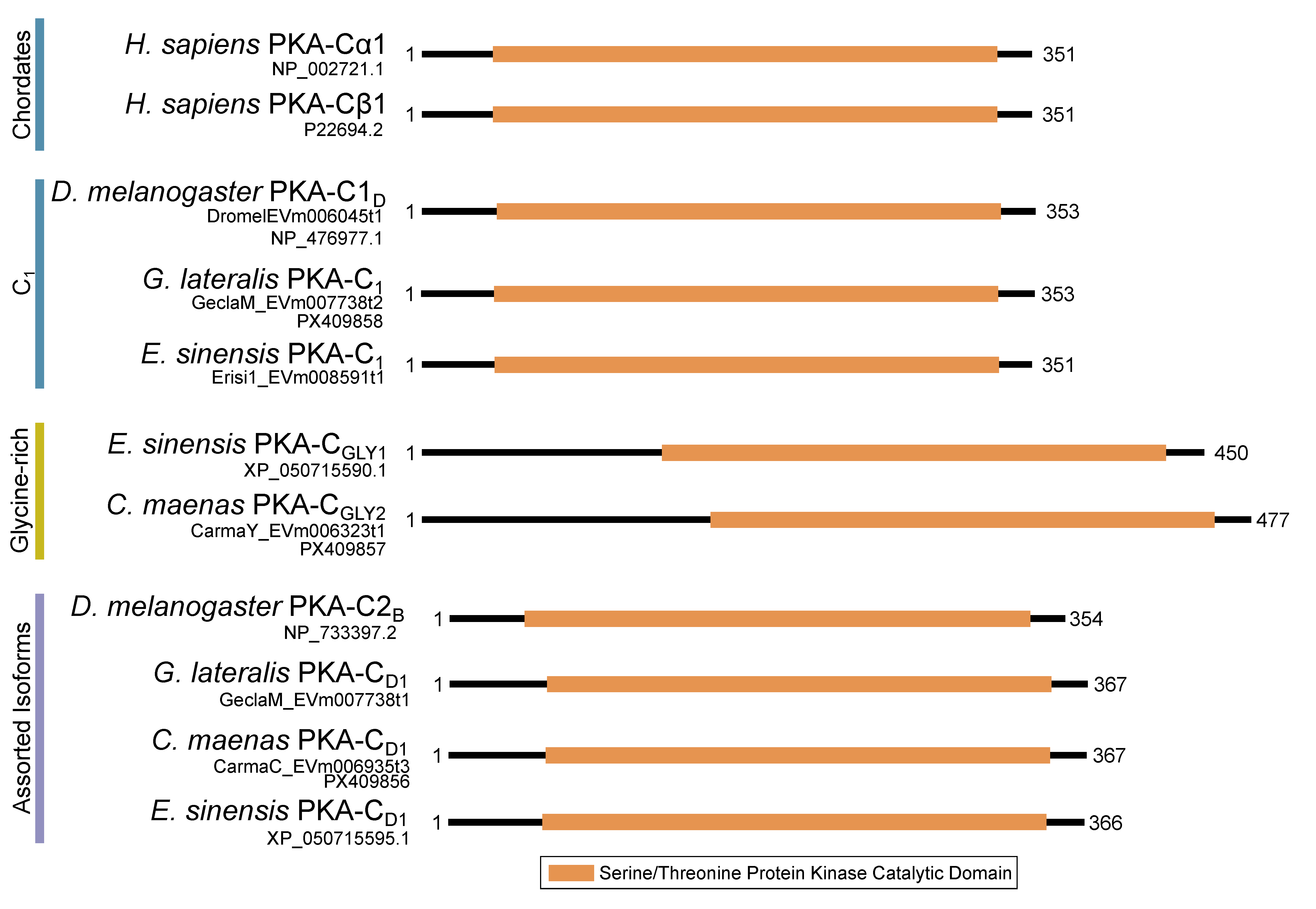 Ijms 26 10585 g003 Ijms 26 10585 g003
