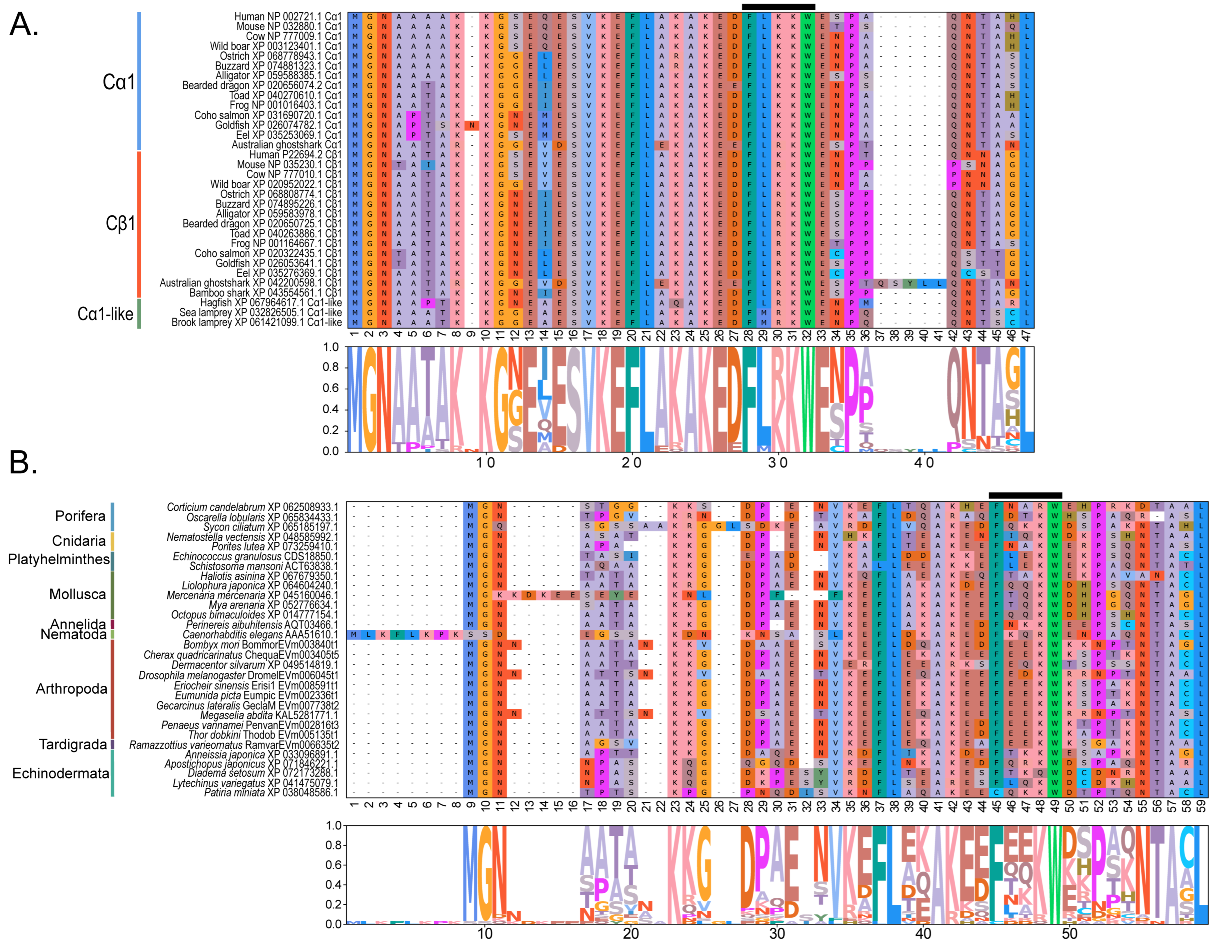 Ijms 26 10585 g004 Ijms 26 10585 g004