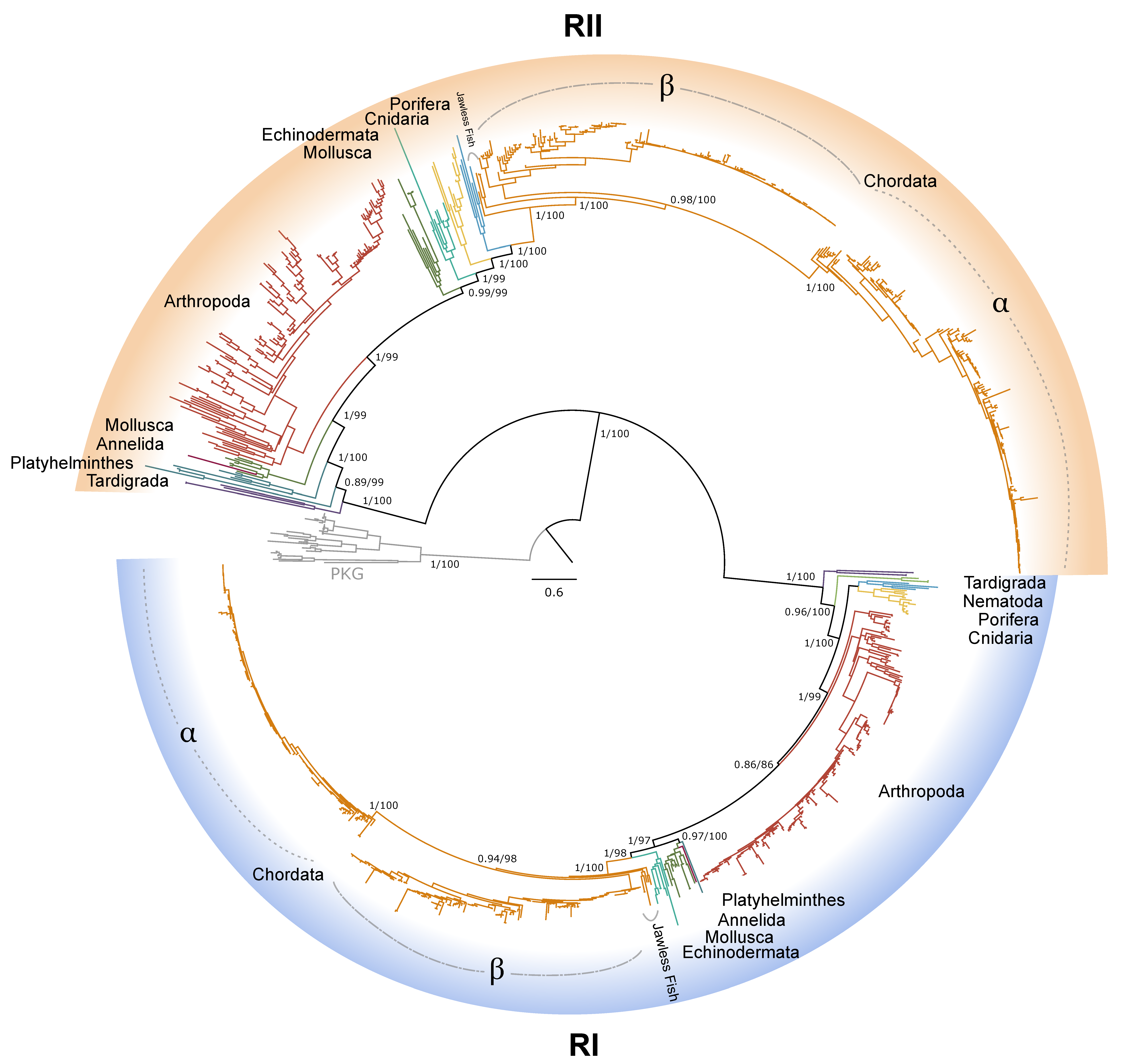 Ijms 26 10585 g006 Ijms 26 10585 g006