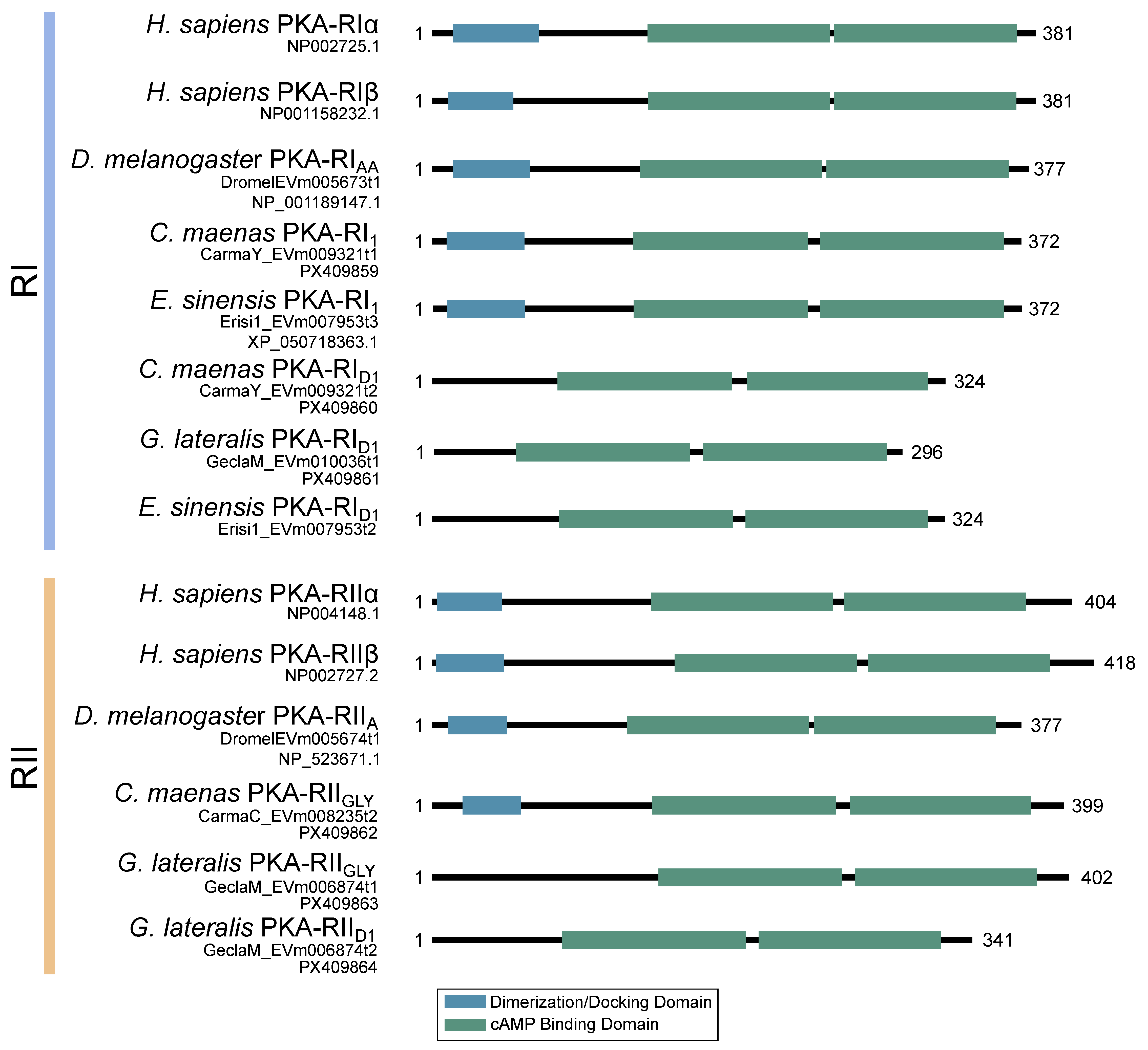 Ijms 26 10585 g009 Ijms 26 10585 g009