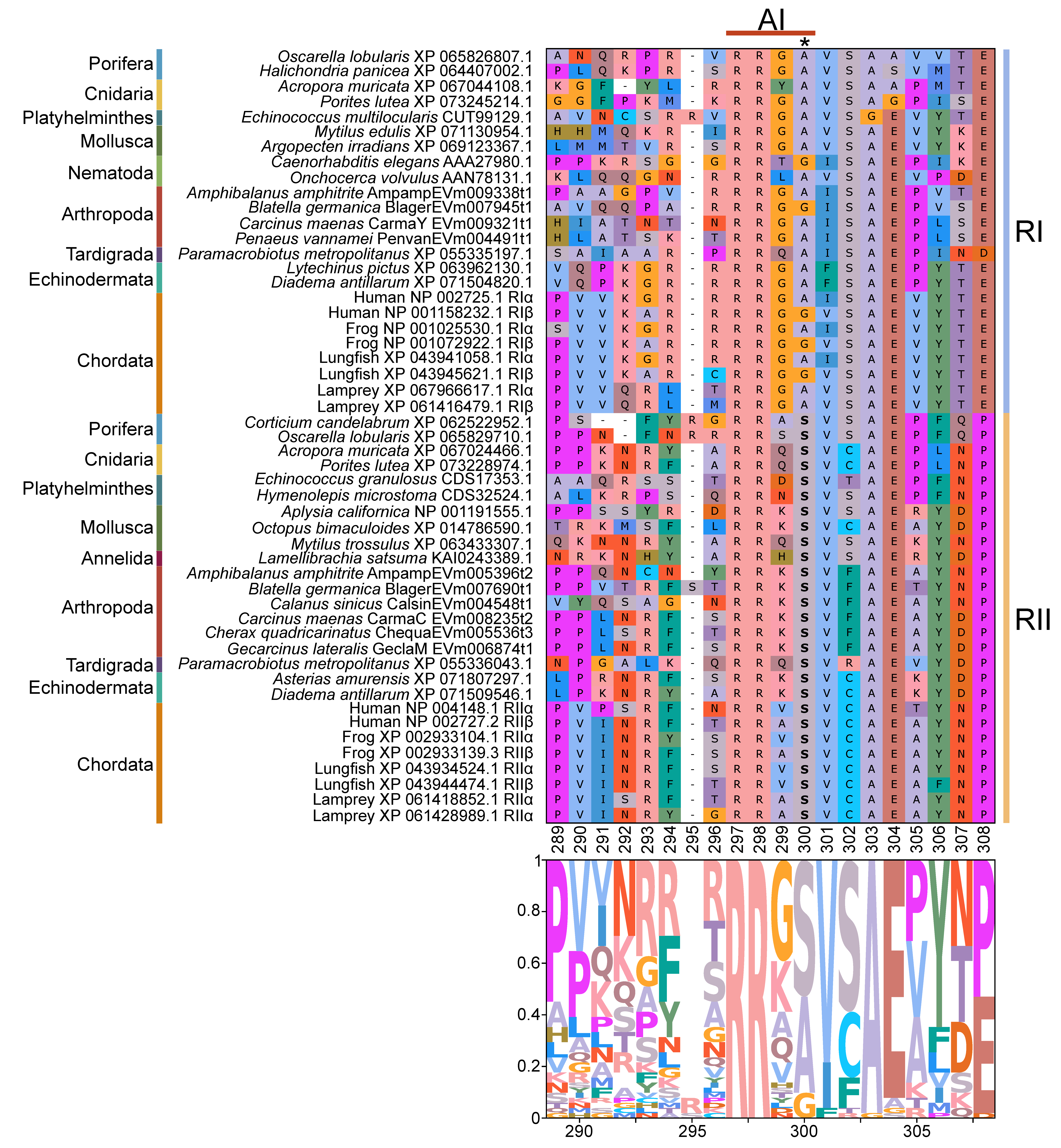 Ijms 26 10585 g011 Ijms 26 10585 g011