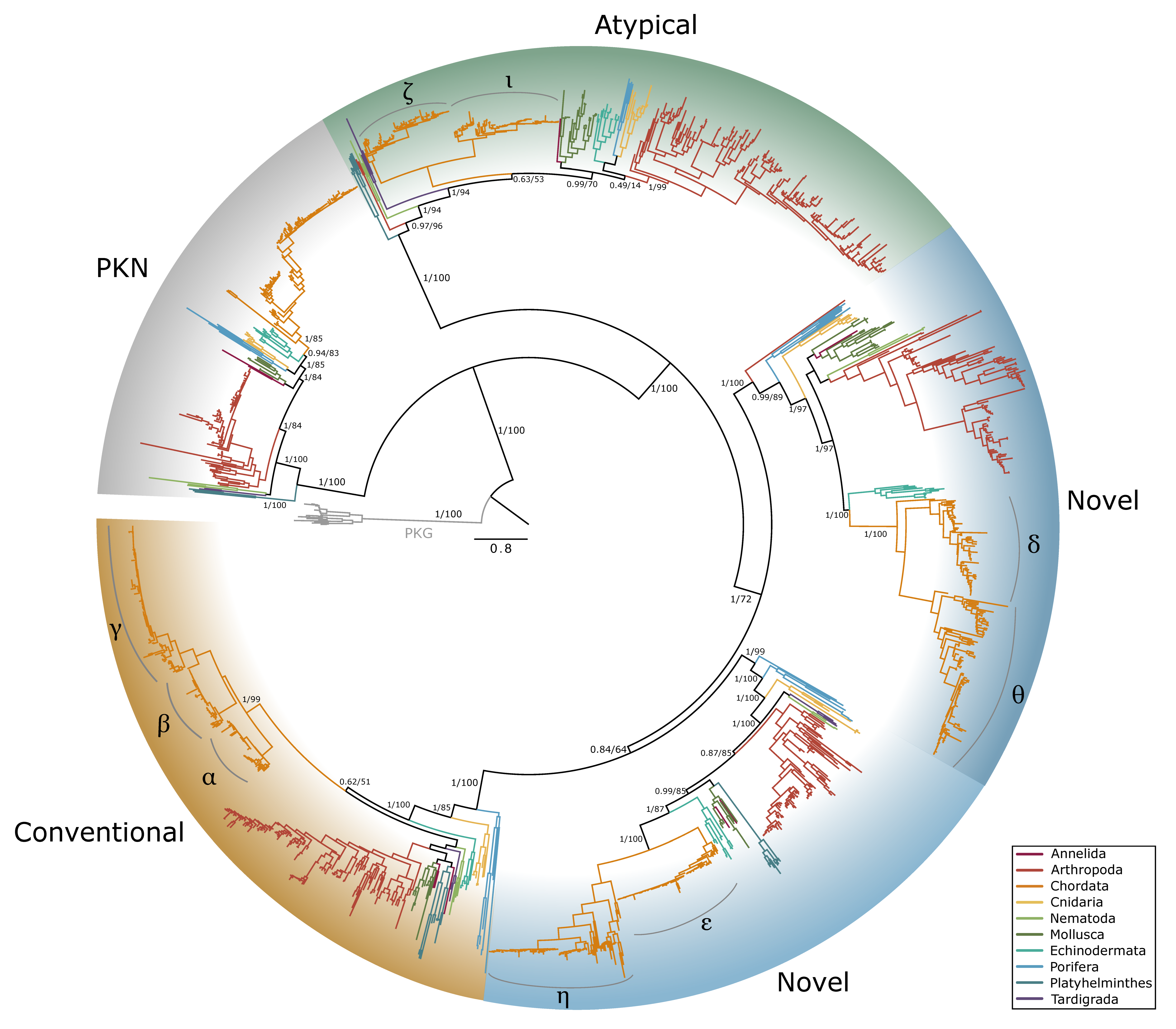 Ijms 26 10585 g012 Ijms 26 10585 g012