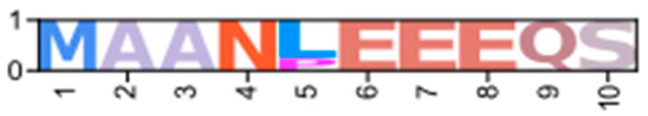 Ijms 26 10585 i005 Ijms 26 10585 i005