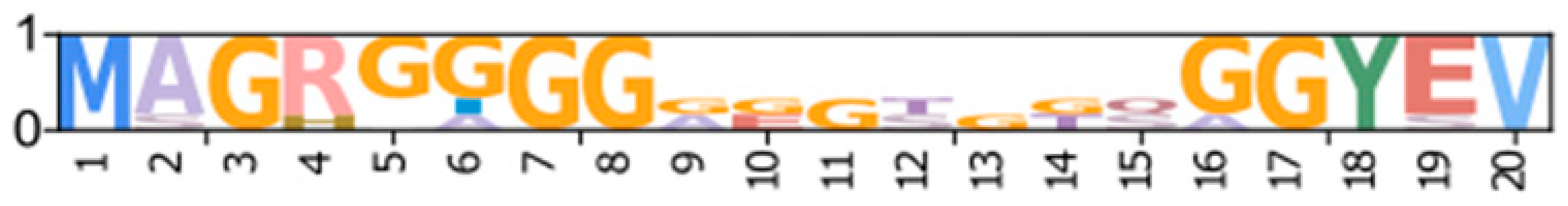 Ijms 26 10585 i007 Ijms 26 10585 i007