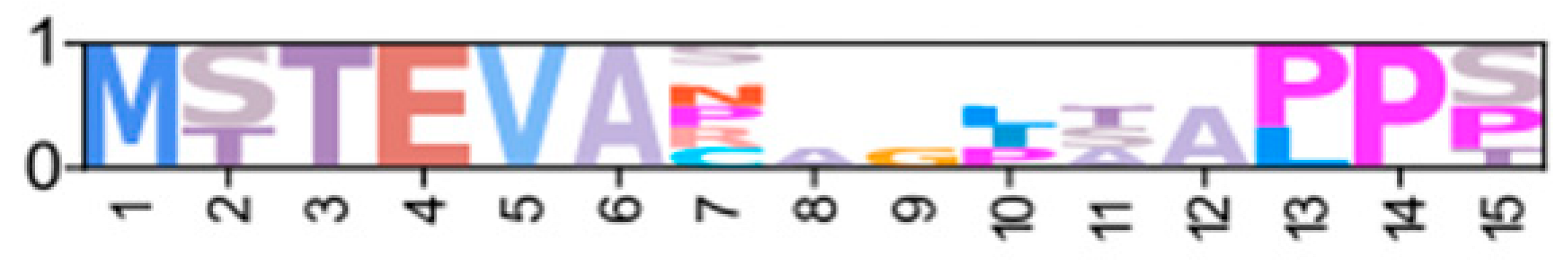 Ijms 26 10585 i008 Ijms 26 10585 i008