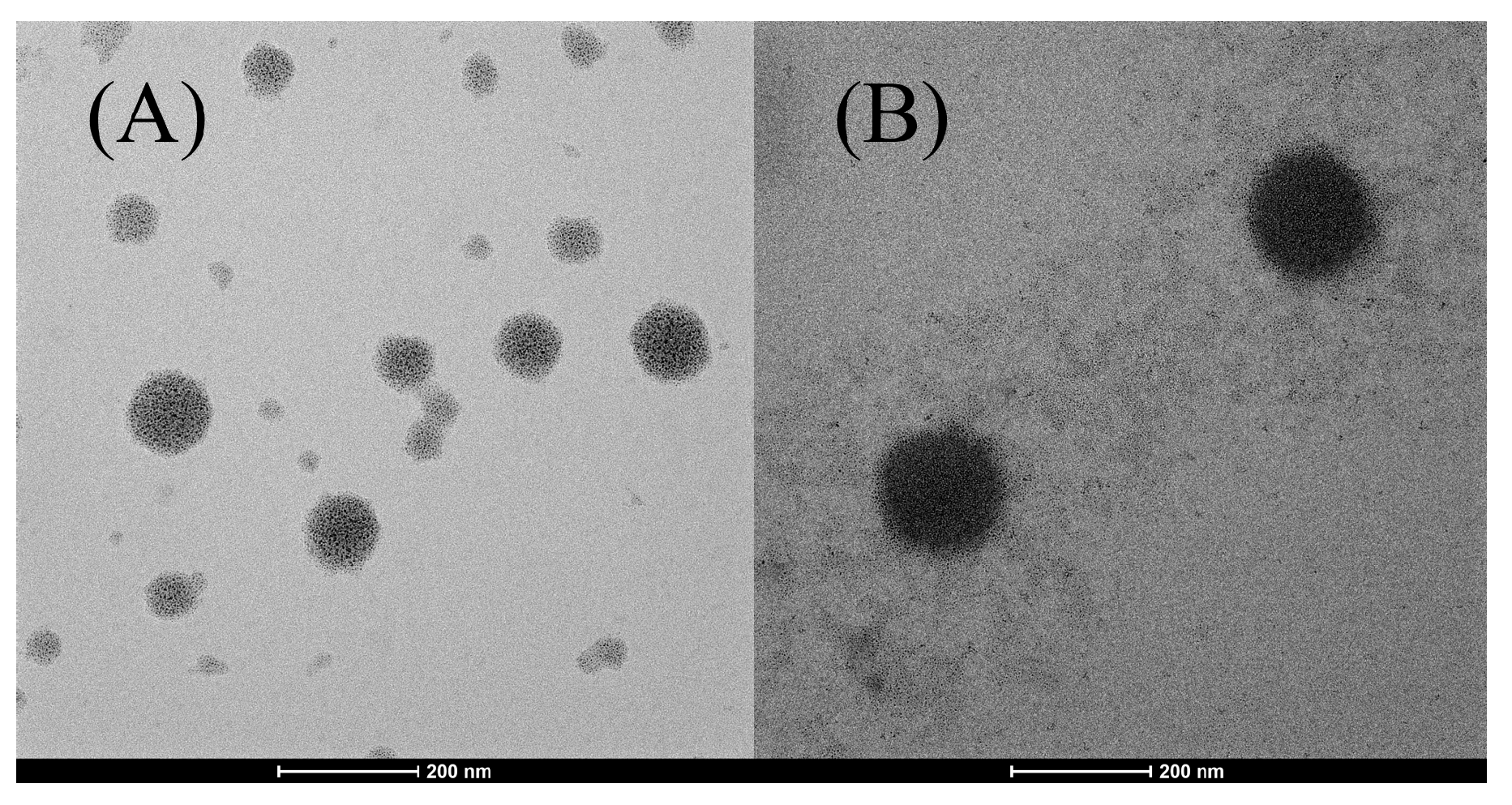 Ijms 26 10586 g001 Ijms 26 10586 g001