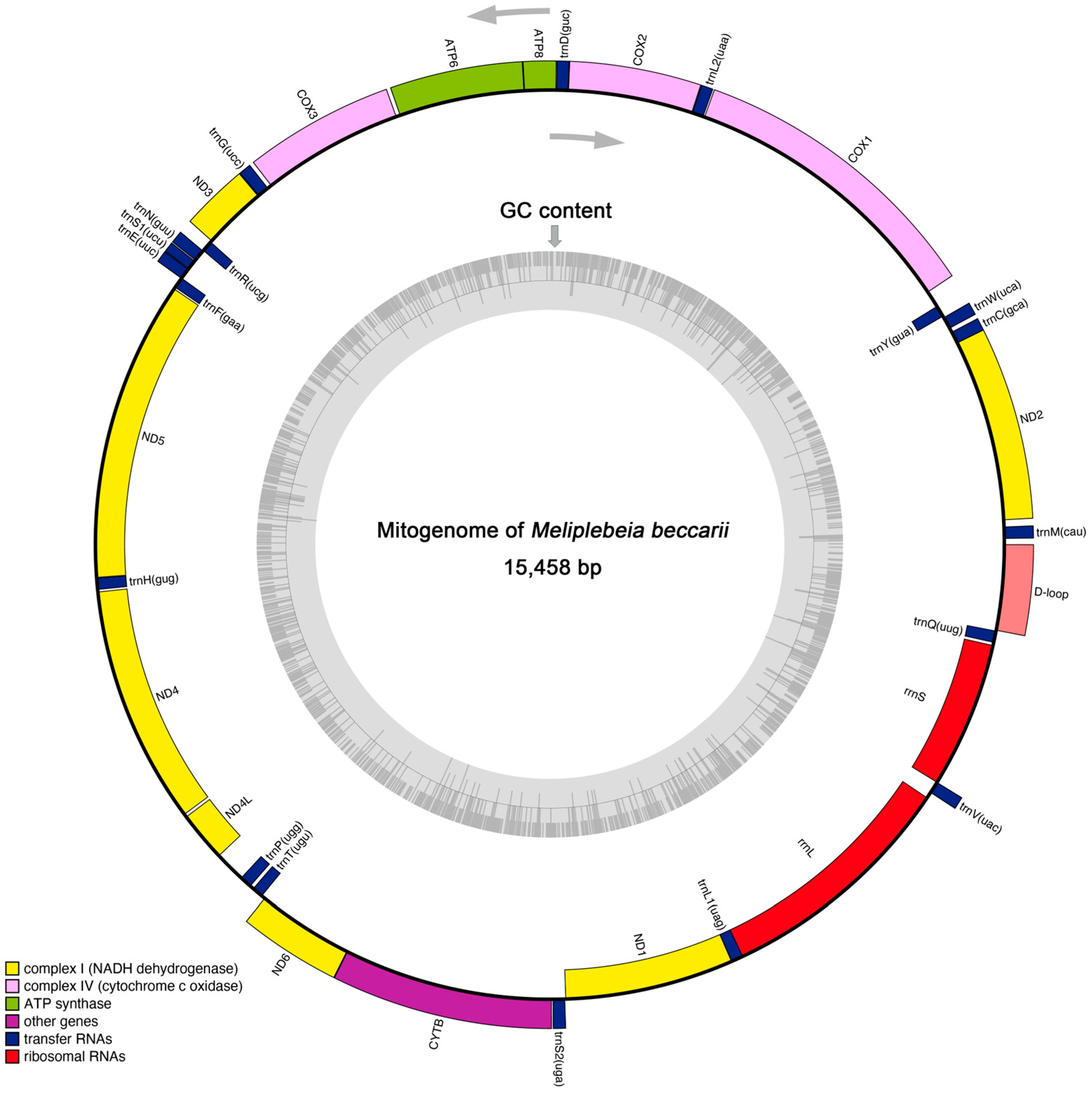 Ijms 26 10588 g001 Ijms 26 10588 g001
