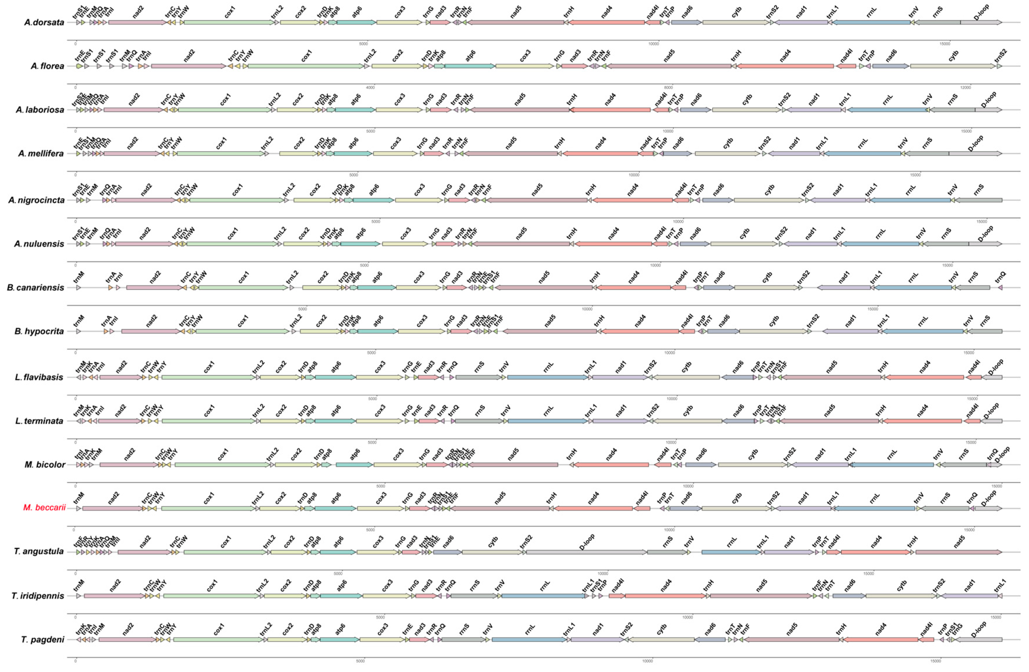 Ijms 26 10588 g005 Ijms 26 10588 g005