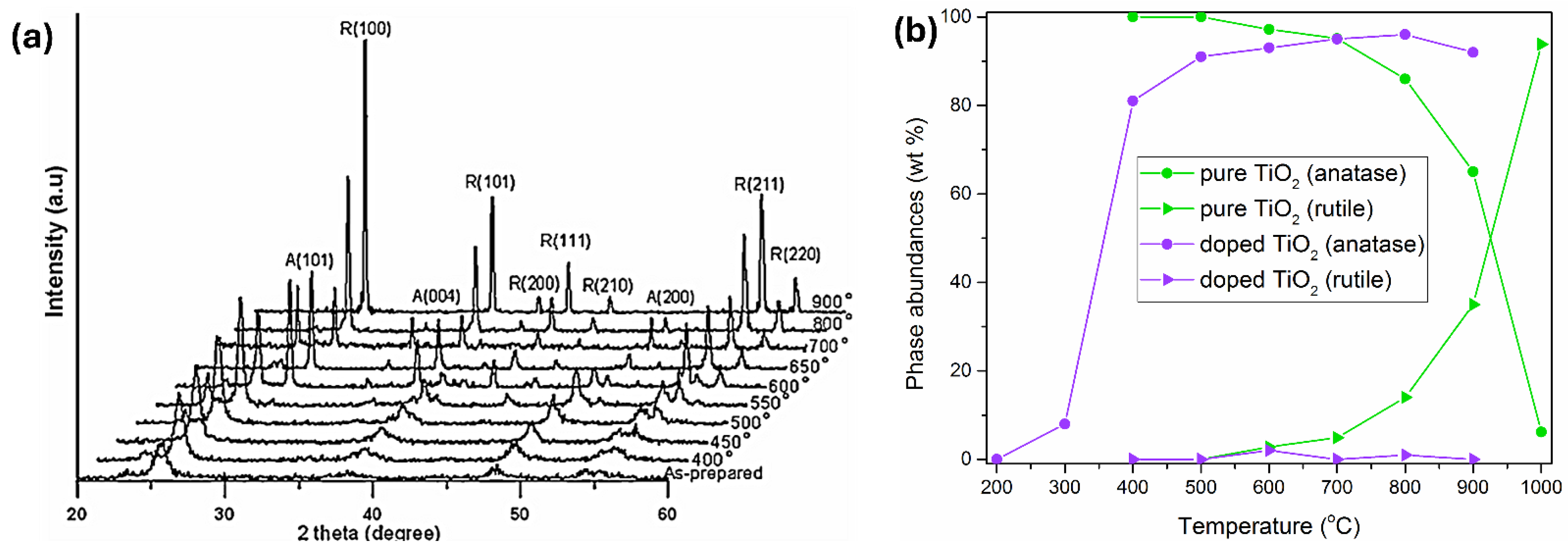 Ijms 26 10593 g003 Ijms 26 10593 g003