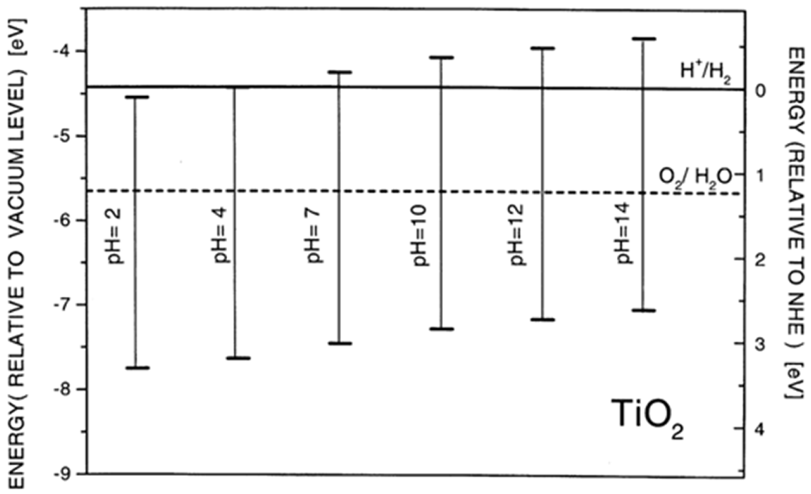 Ijms 26 10593 g004 Ijms 26 10593 g004
