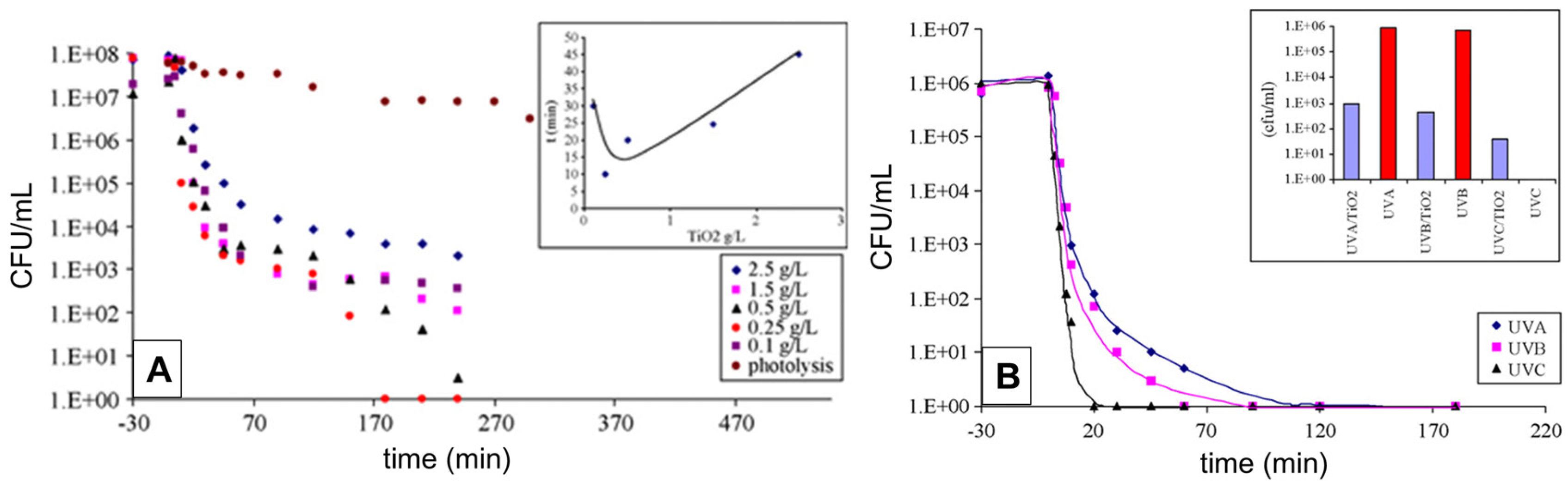 Ijms 26 10593 g008 Ijms 26 10593 g008