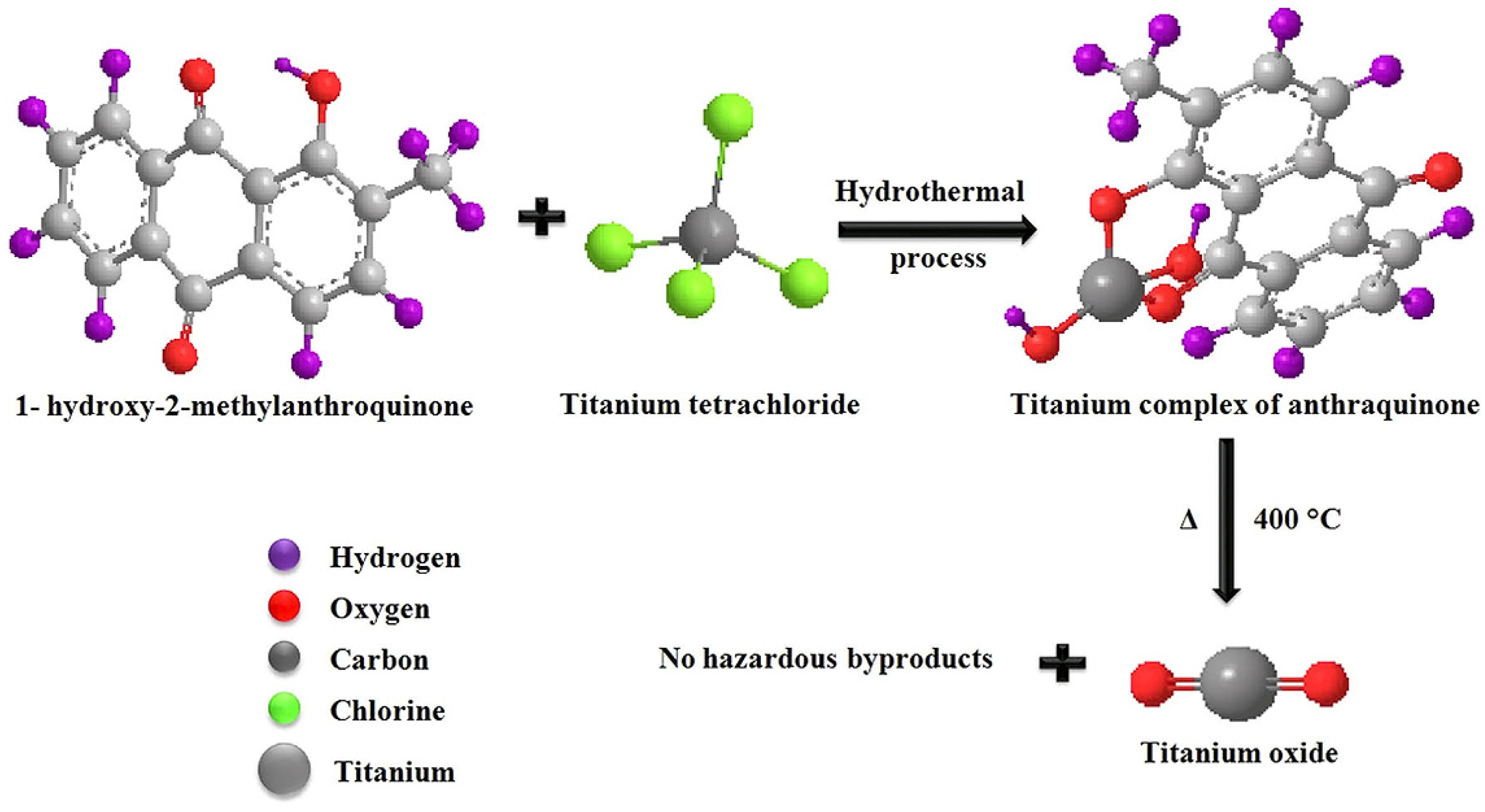 Ijms 26 10593 g012 Ijms 26 10593 g012