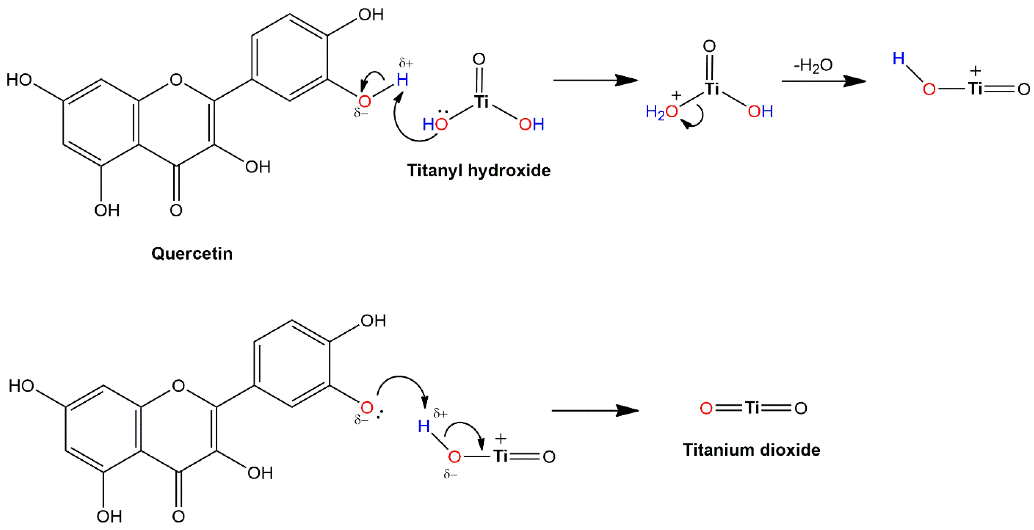 Ijms 26 10593 g013 Ijms 26 10593 g013